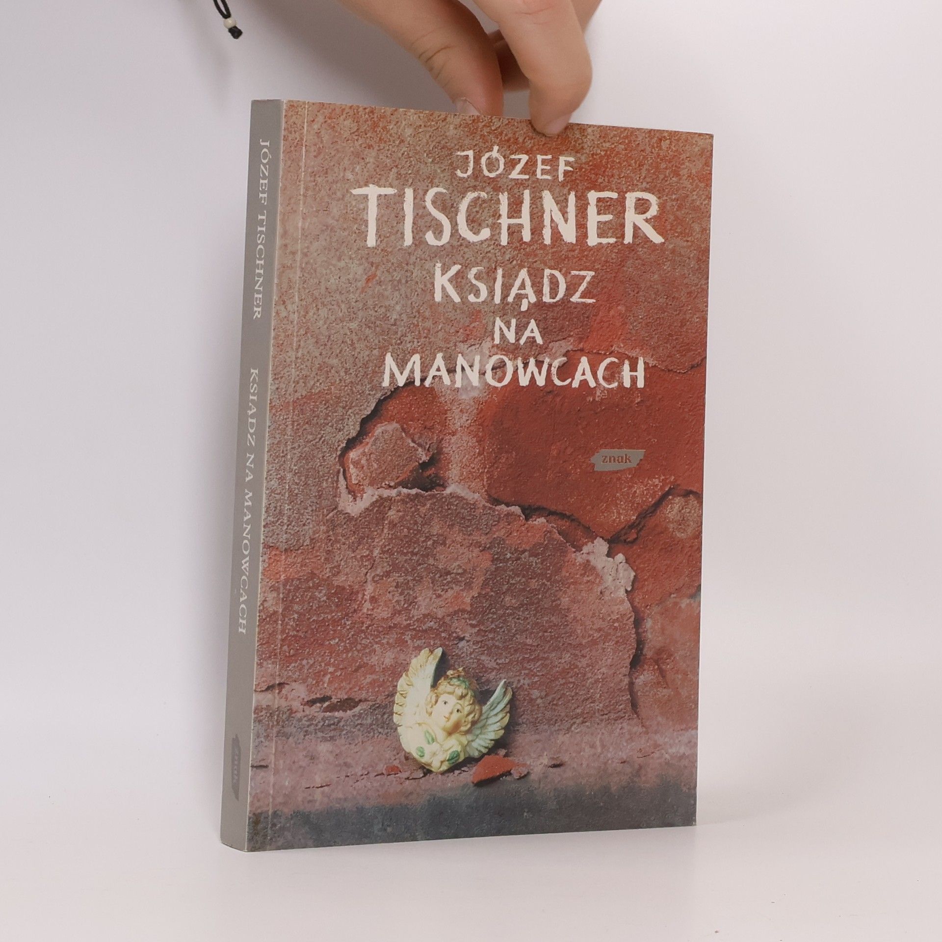 Ksiądz na manowcach