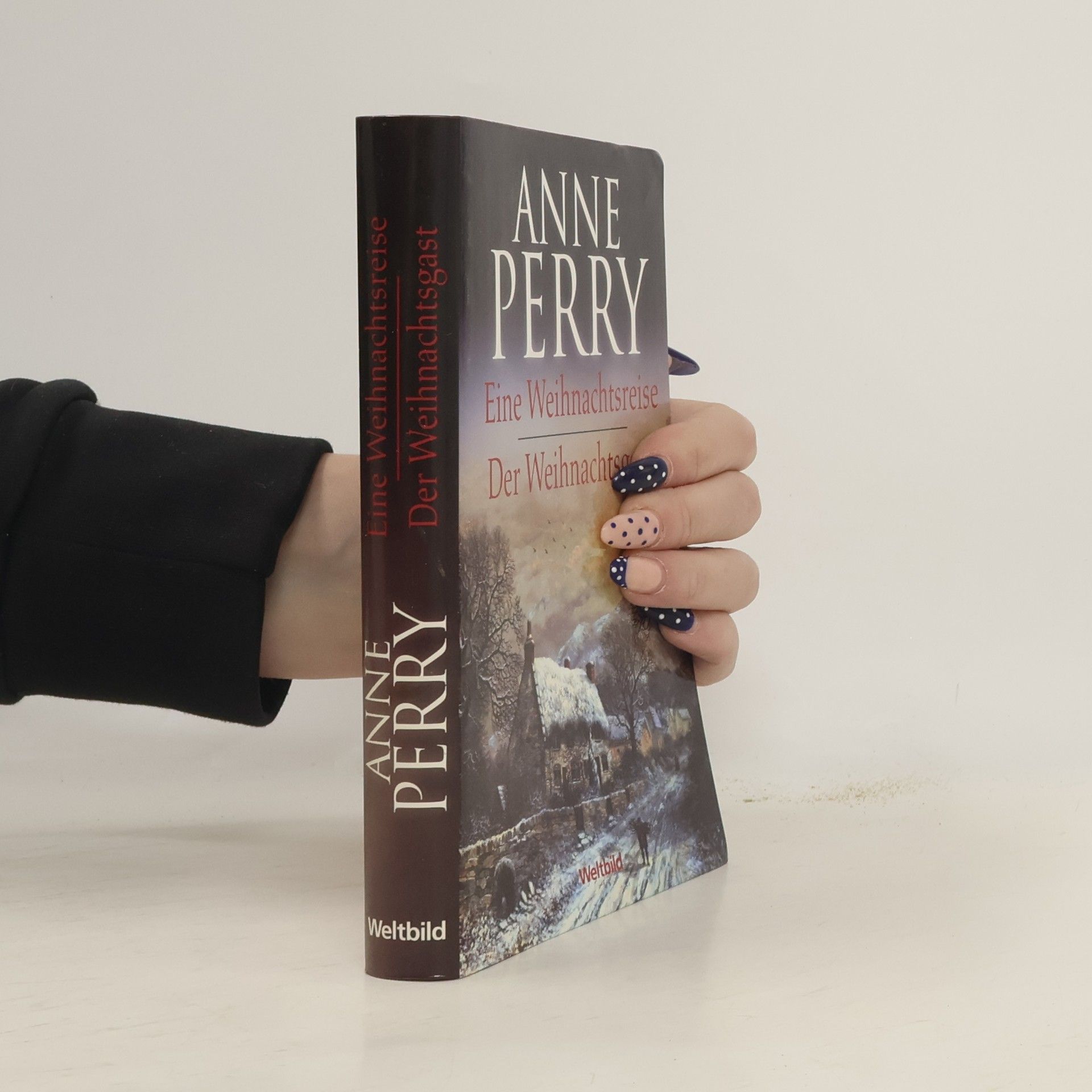 Anne Perry Eine Weihnachtsreise. Der Weihnachtsgast