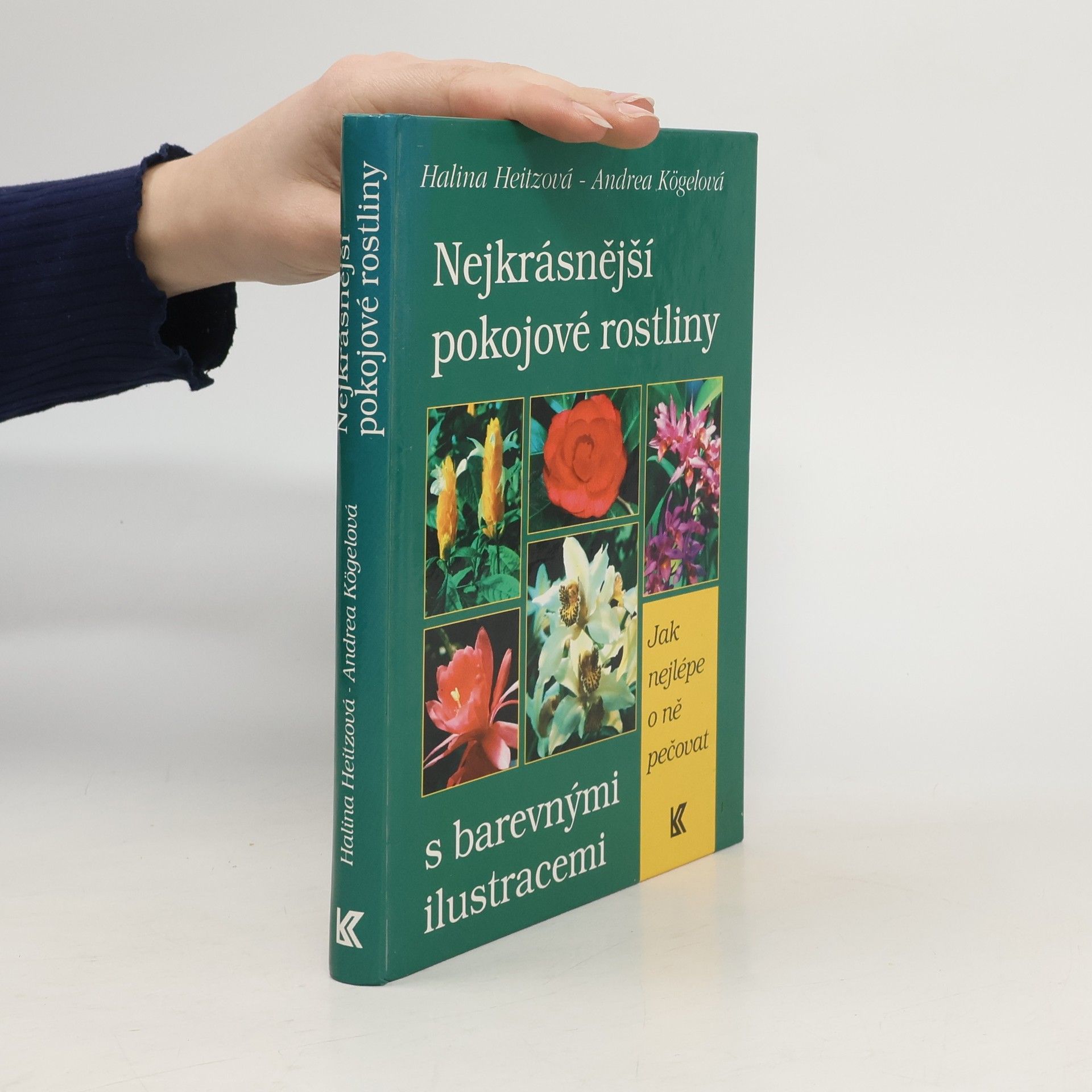 Nejkrásnější pokojové rostliny