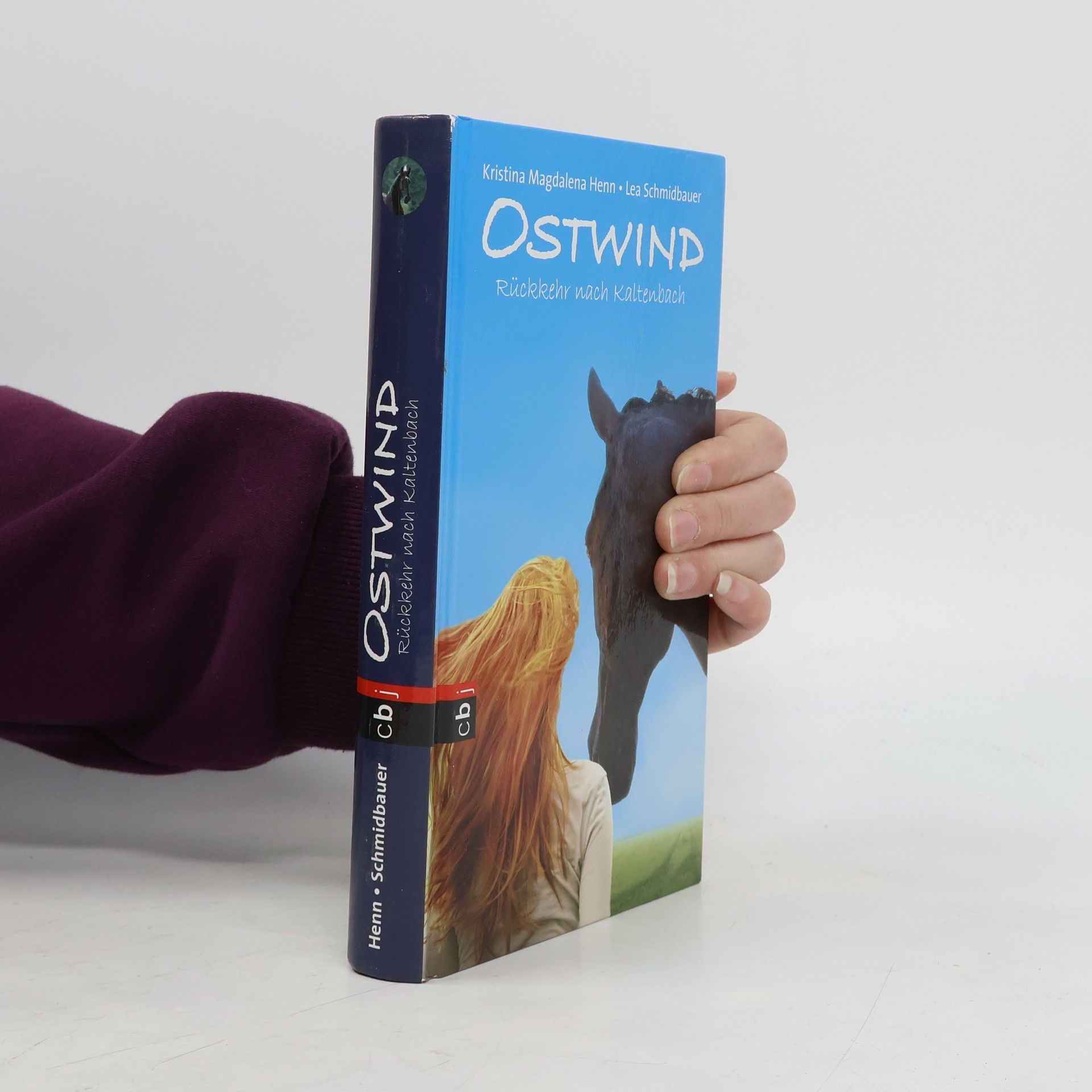 Ostwind - Rückkehr nach Kaltenbach