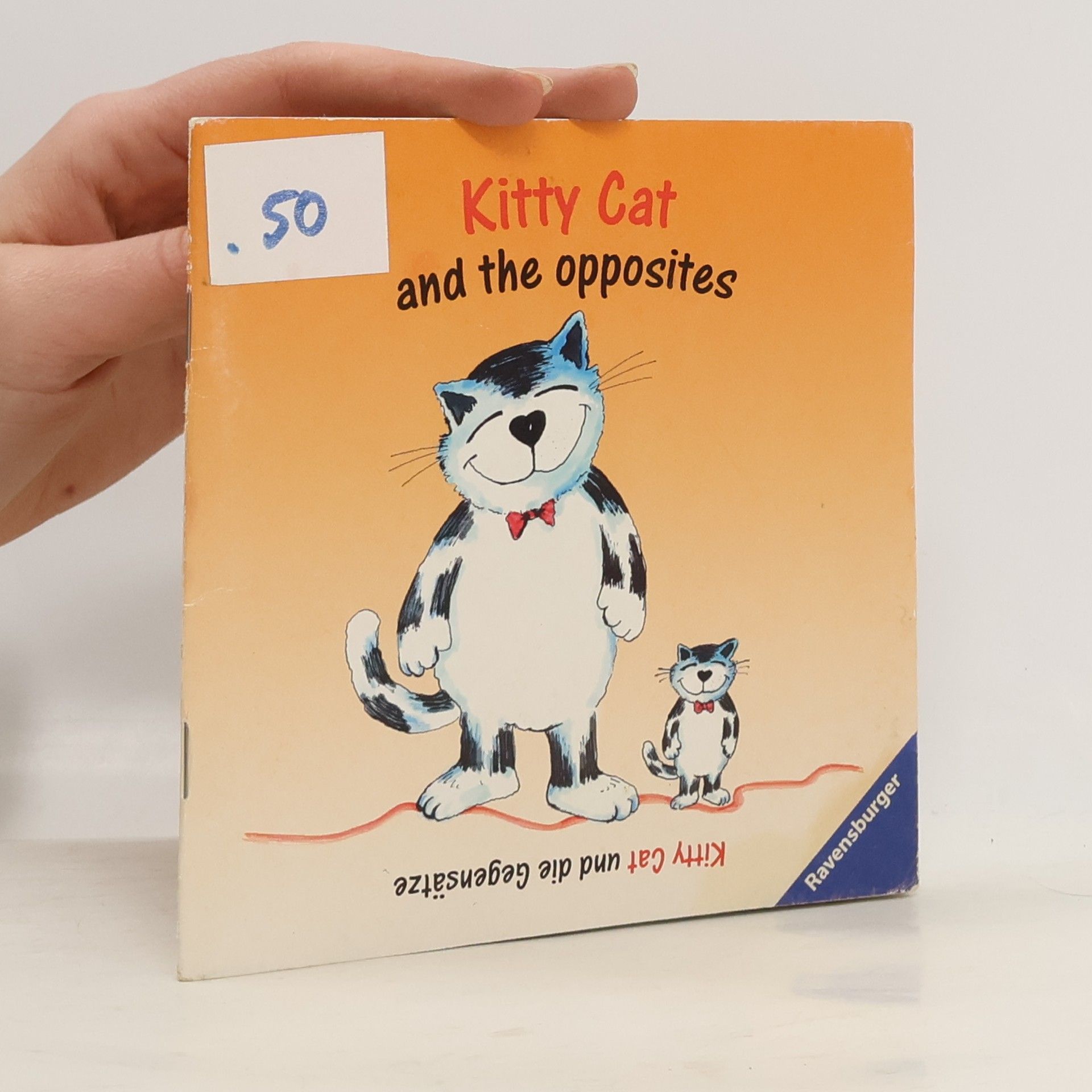 Rosi Vogel Kitty Cat and the magic colours