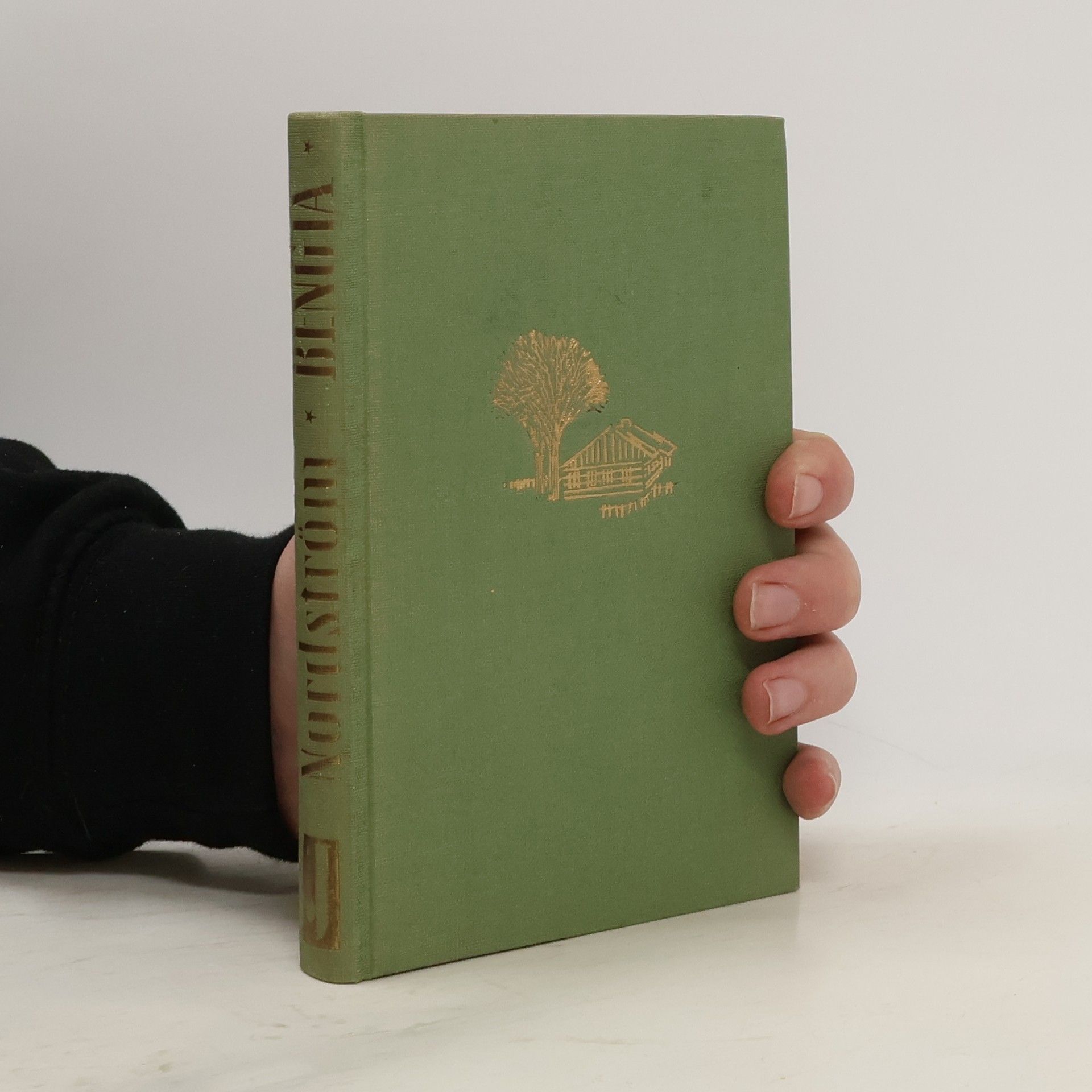 Bengta die Bäuerin aus Skåne