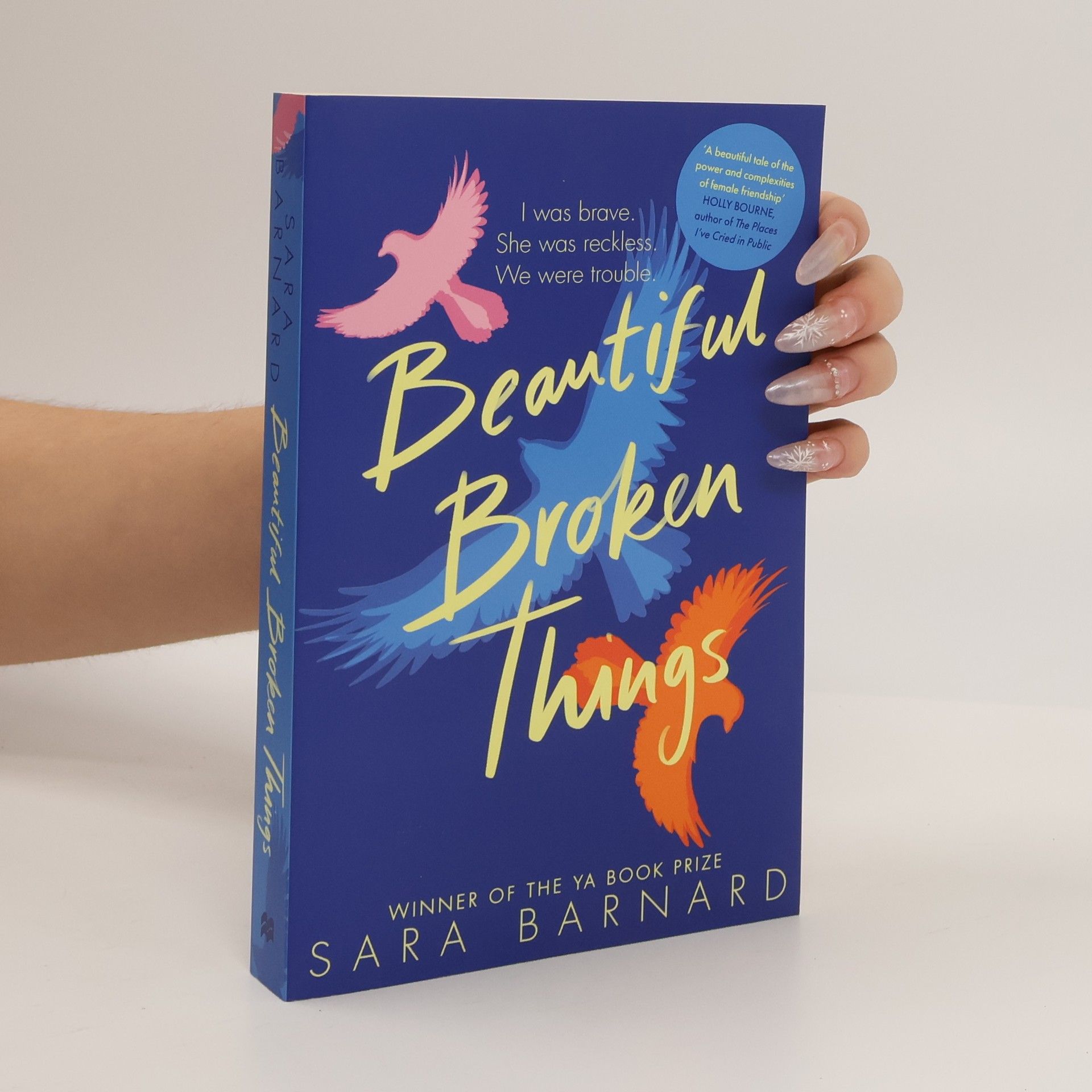 Sara Barnard Beautiful Broken Things