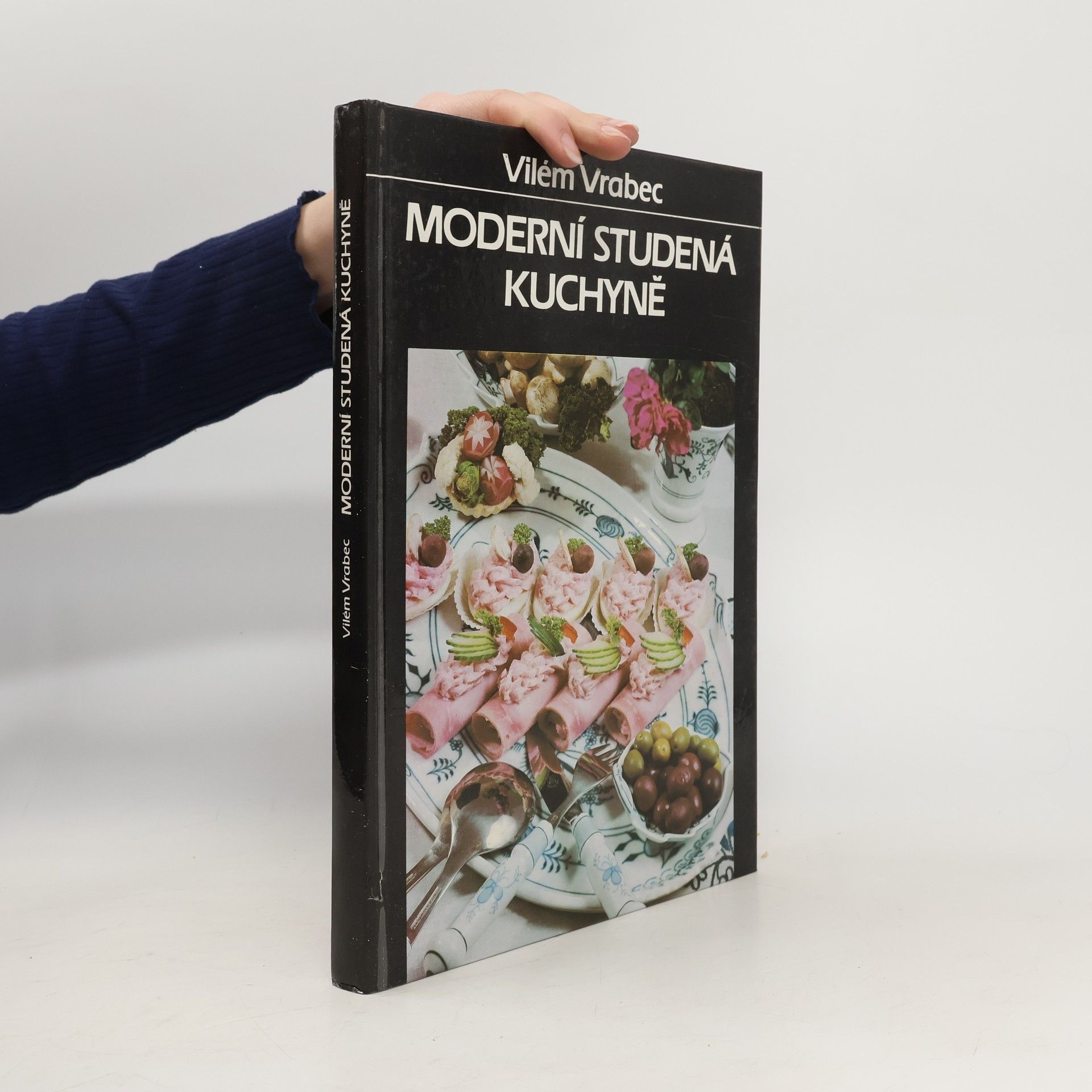 Vilém Vrabec Moderní studená kuchyně