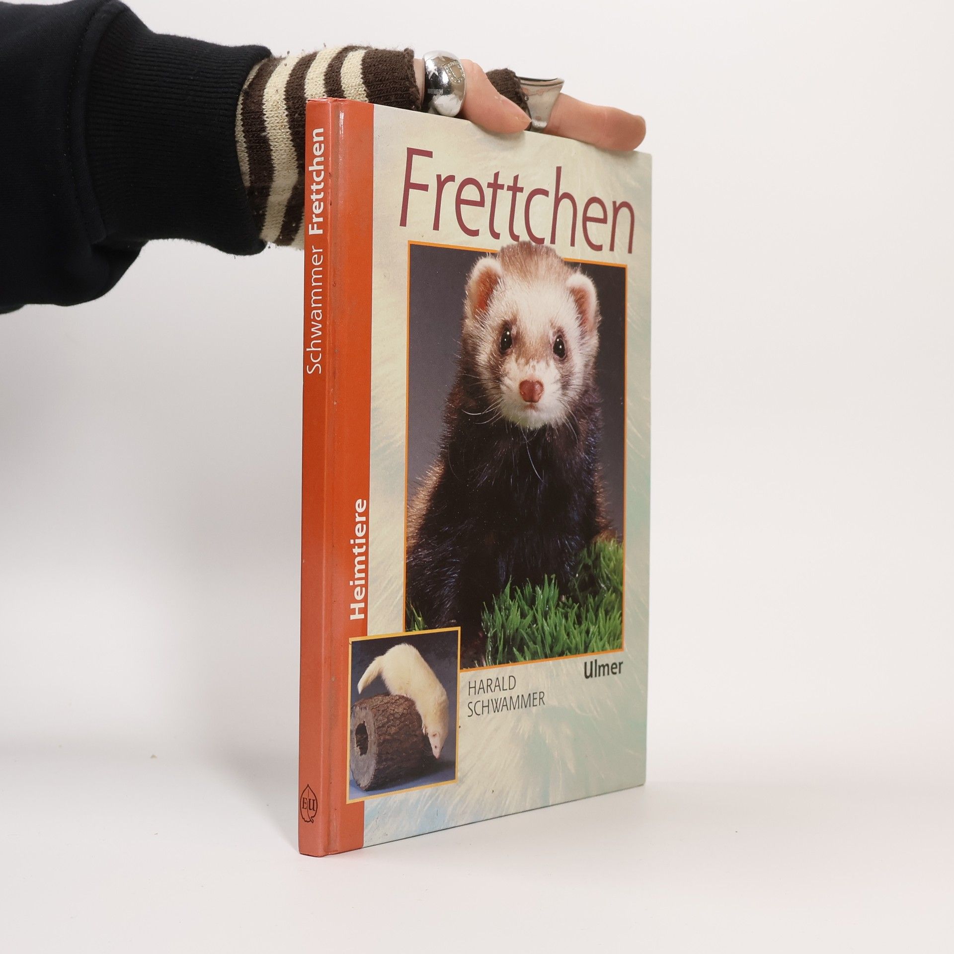 Harald Schwammer Frettchen