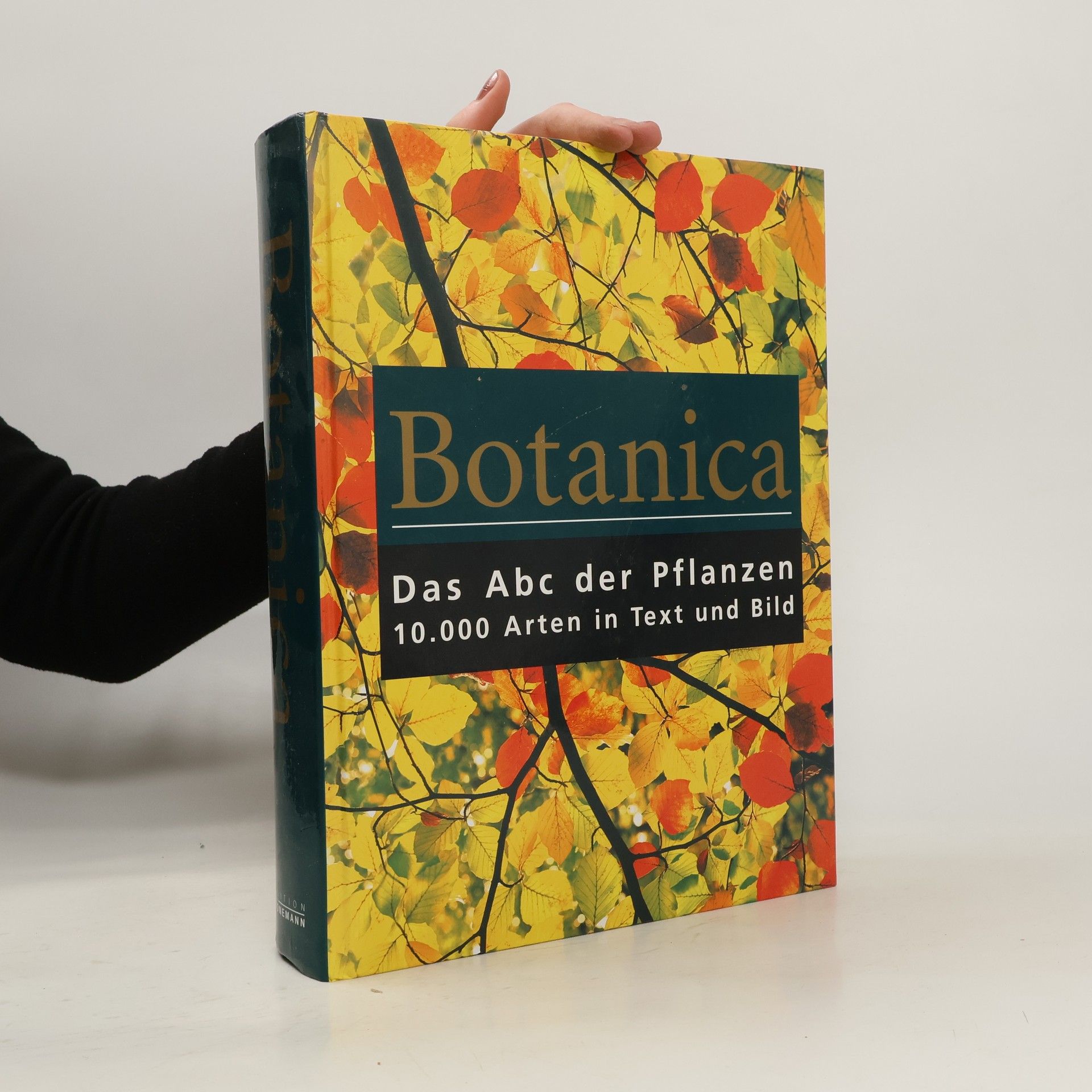 Botanica