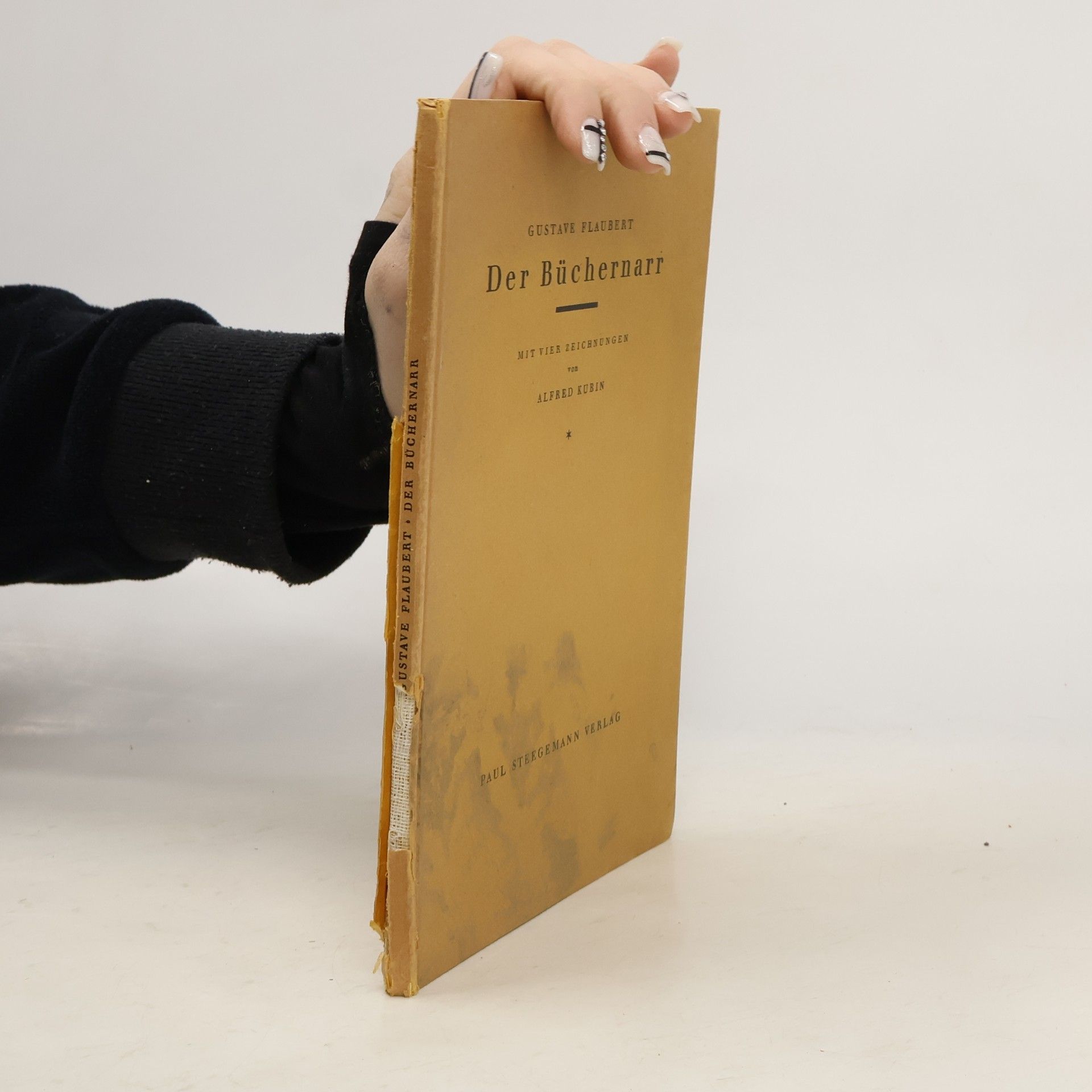 Gustave Flaubert Der Büchernarr