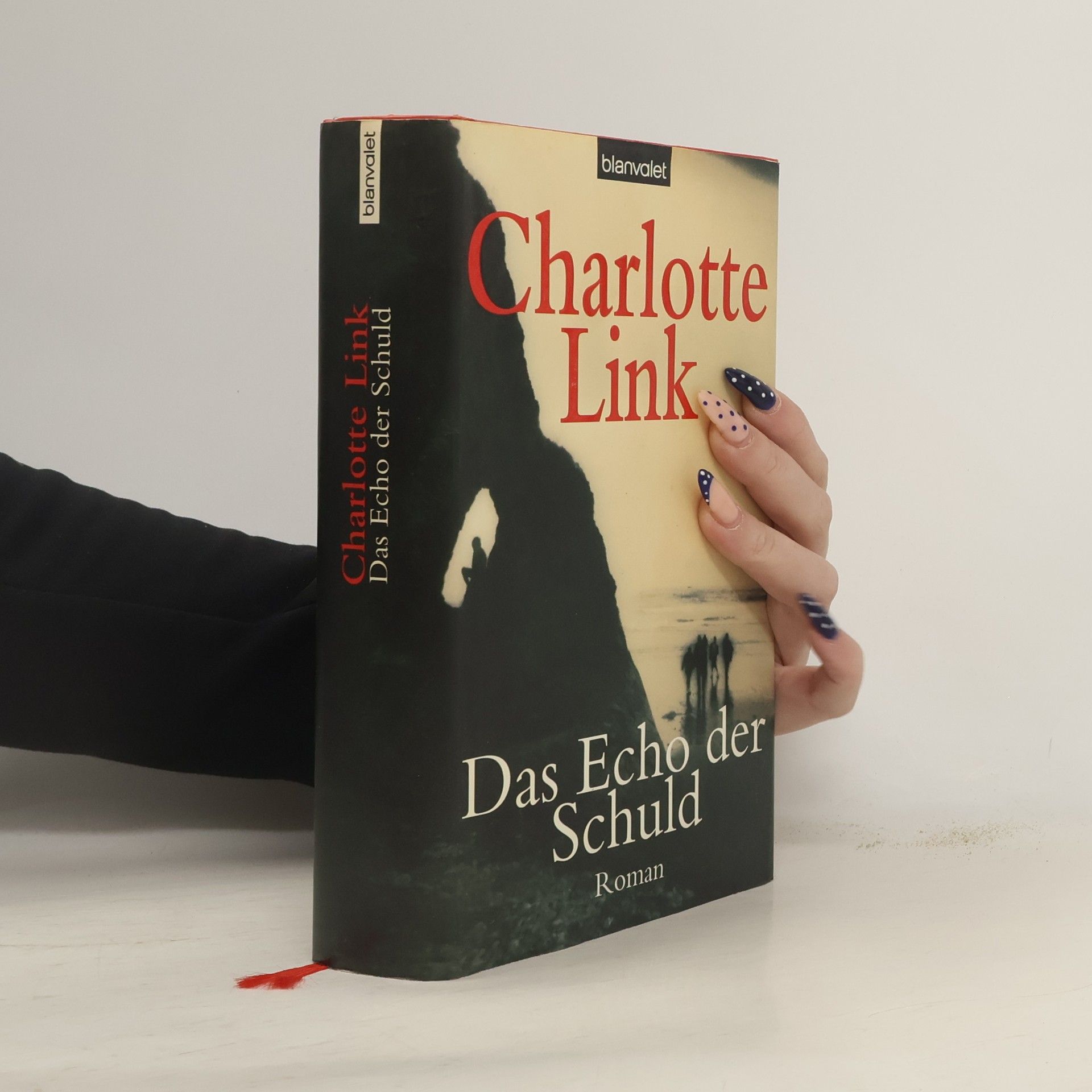 Charlotte Link Das Echo der Schuld