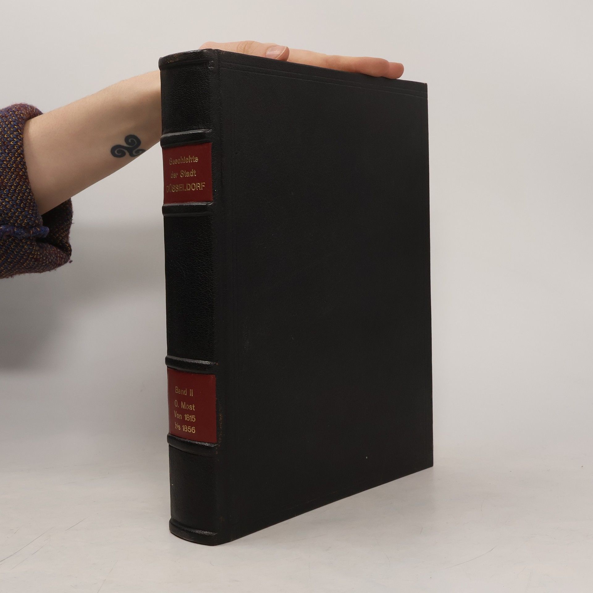 Oliver Möst Geschichte der Stadt Düsseldorf Band II 1815-1856