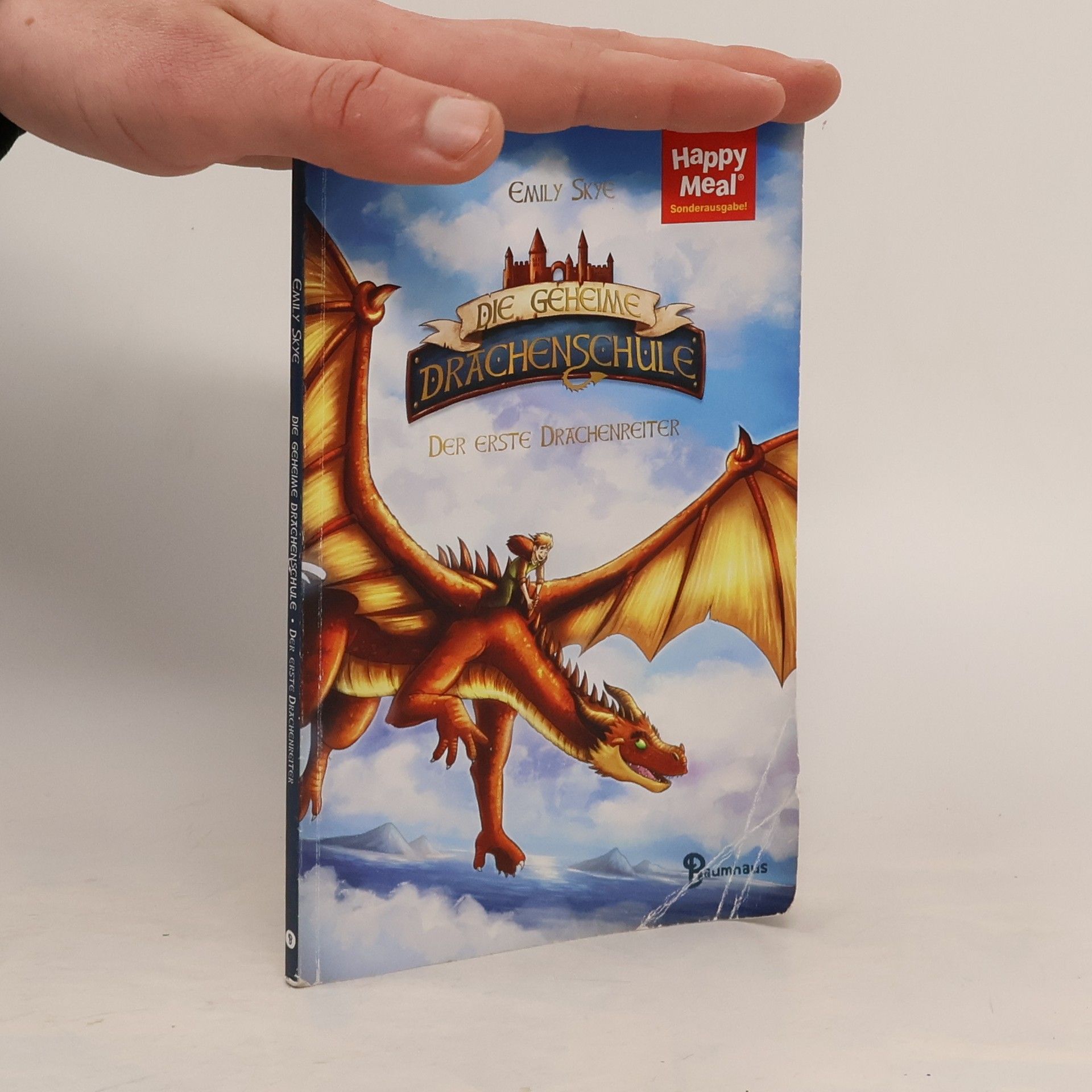 Emily Skye Die geheime Drachenschule. Der erste Drachenreiter