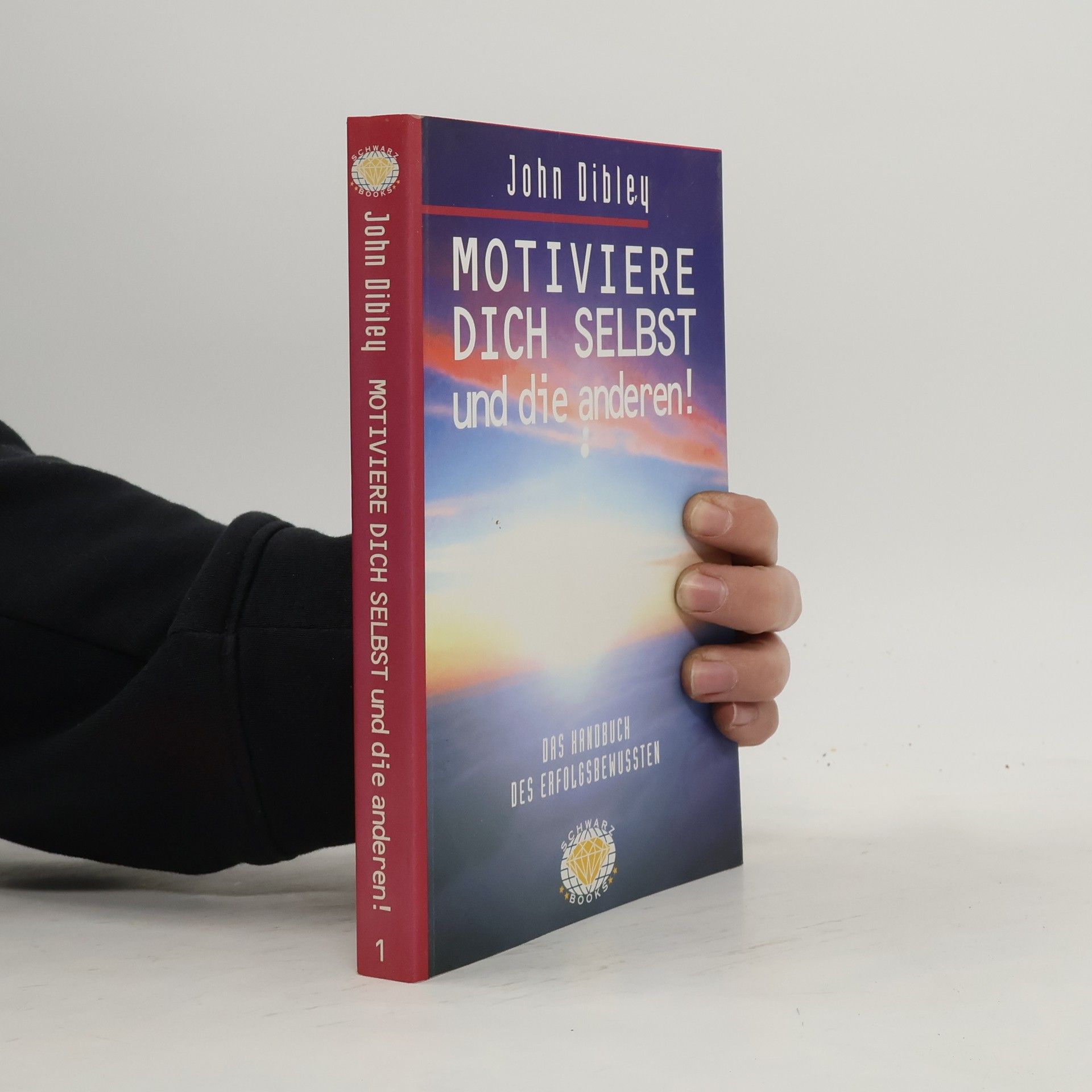 John Dibley Motiviere dich selbst und die anderen!