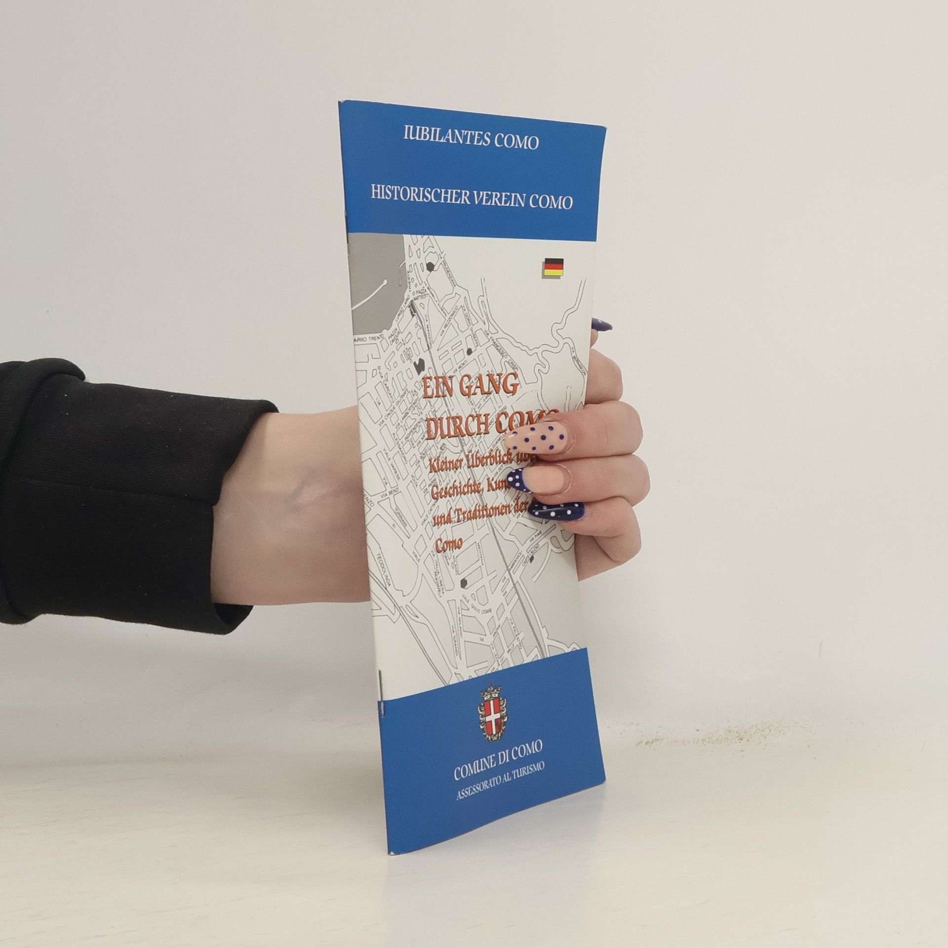 Autores varios Ein Gang durch Como