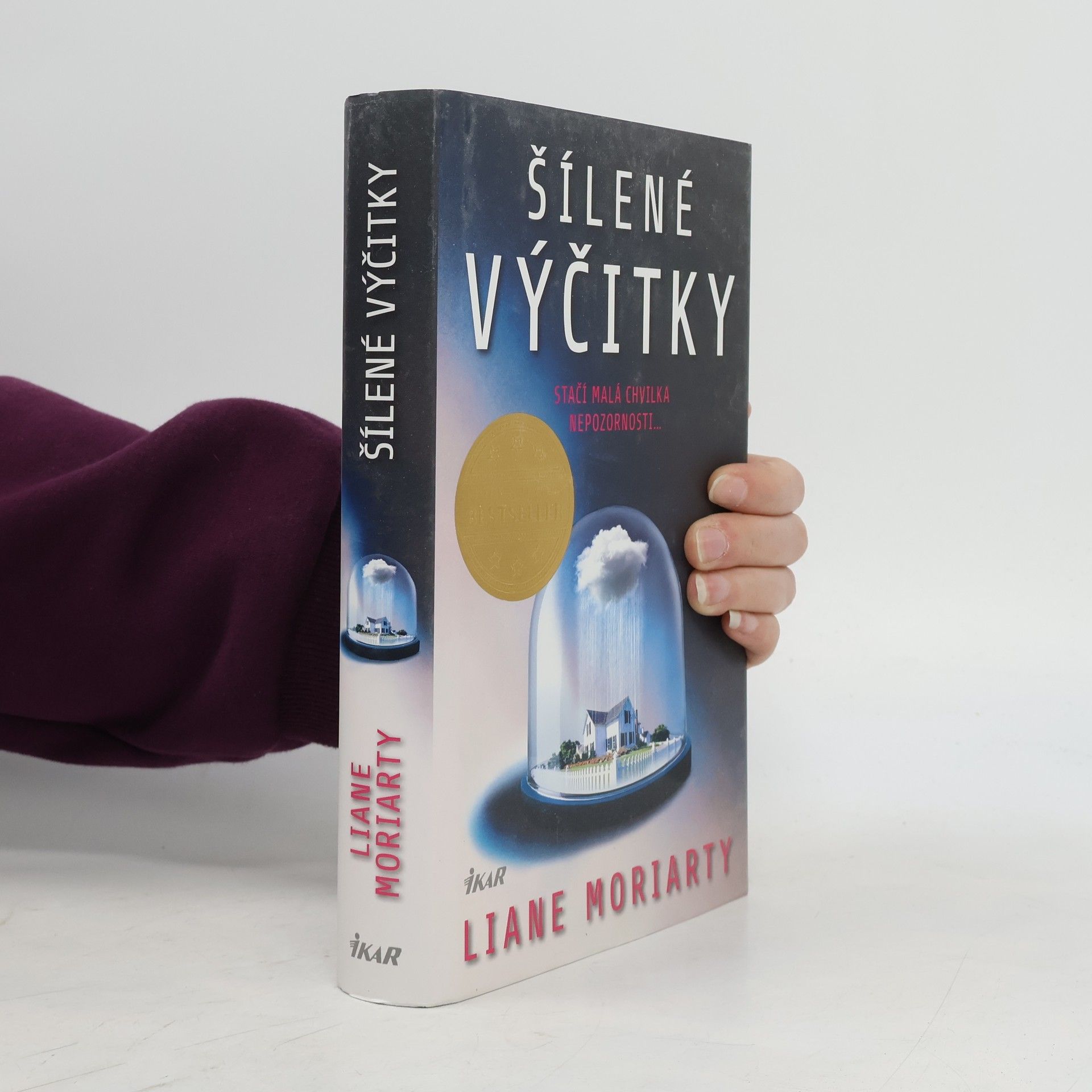 Liane Moriarty Šílené výčitky