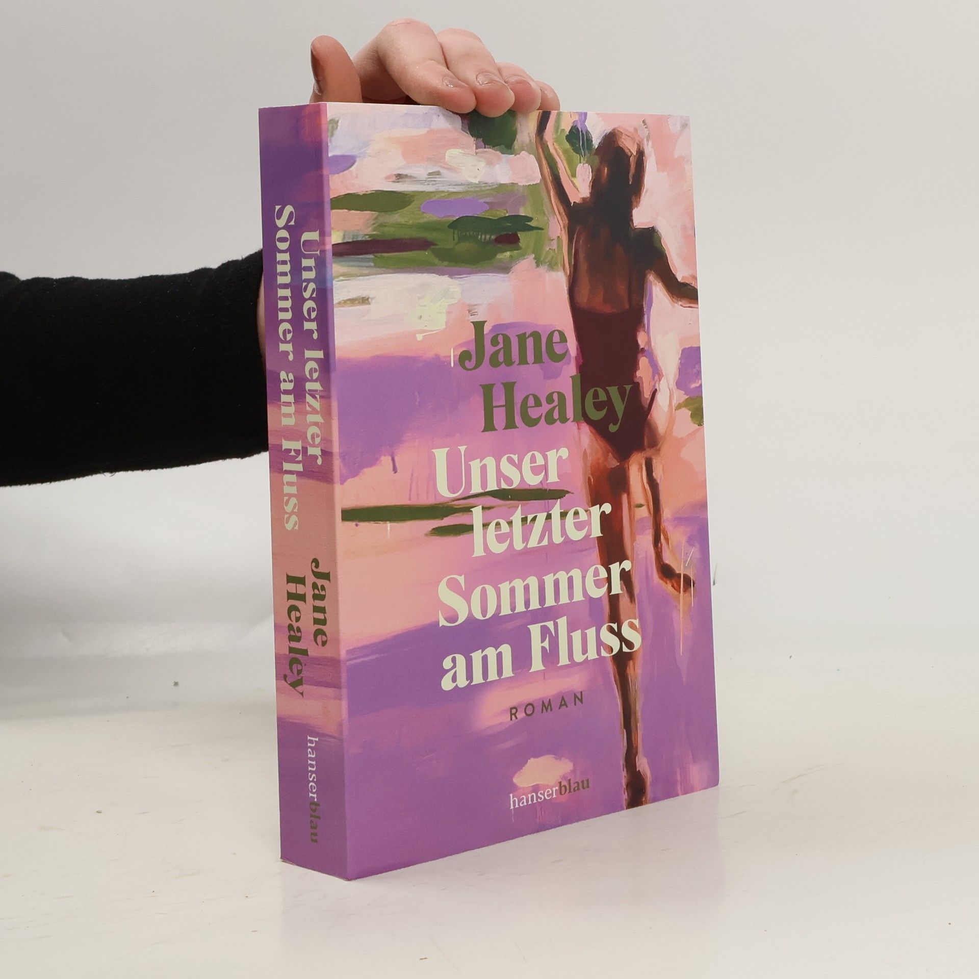 Jane Healey Unser letzter Sommer am Fluss