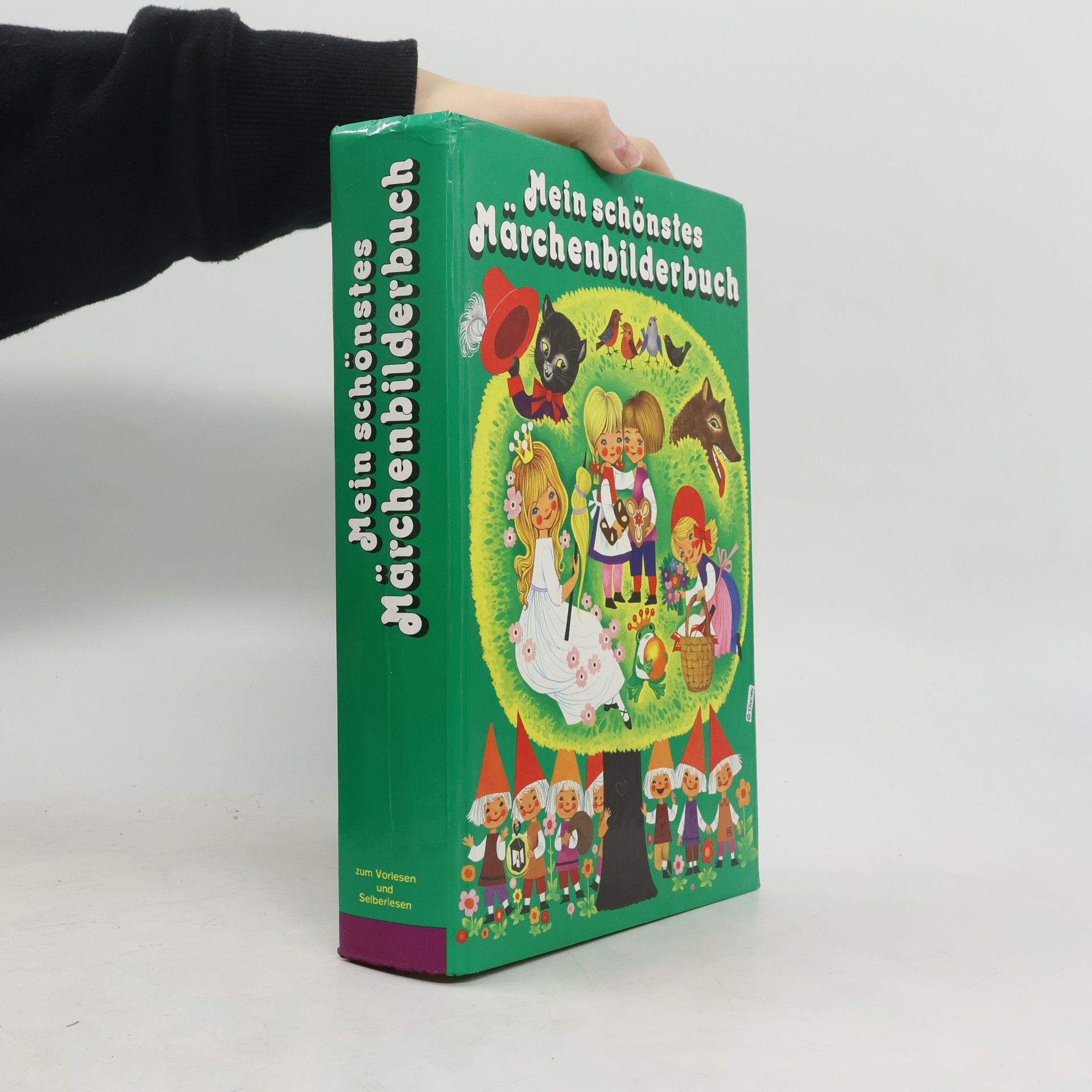 Autorenkollektiv Mein schönstes Märchenbilderbuch