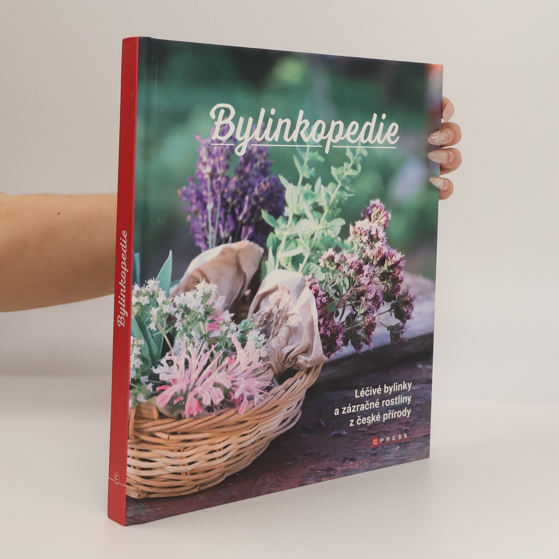 Autores varios Bylinkopedie