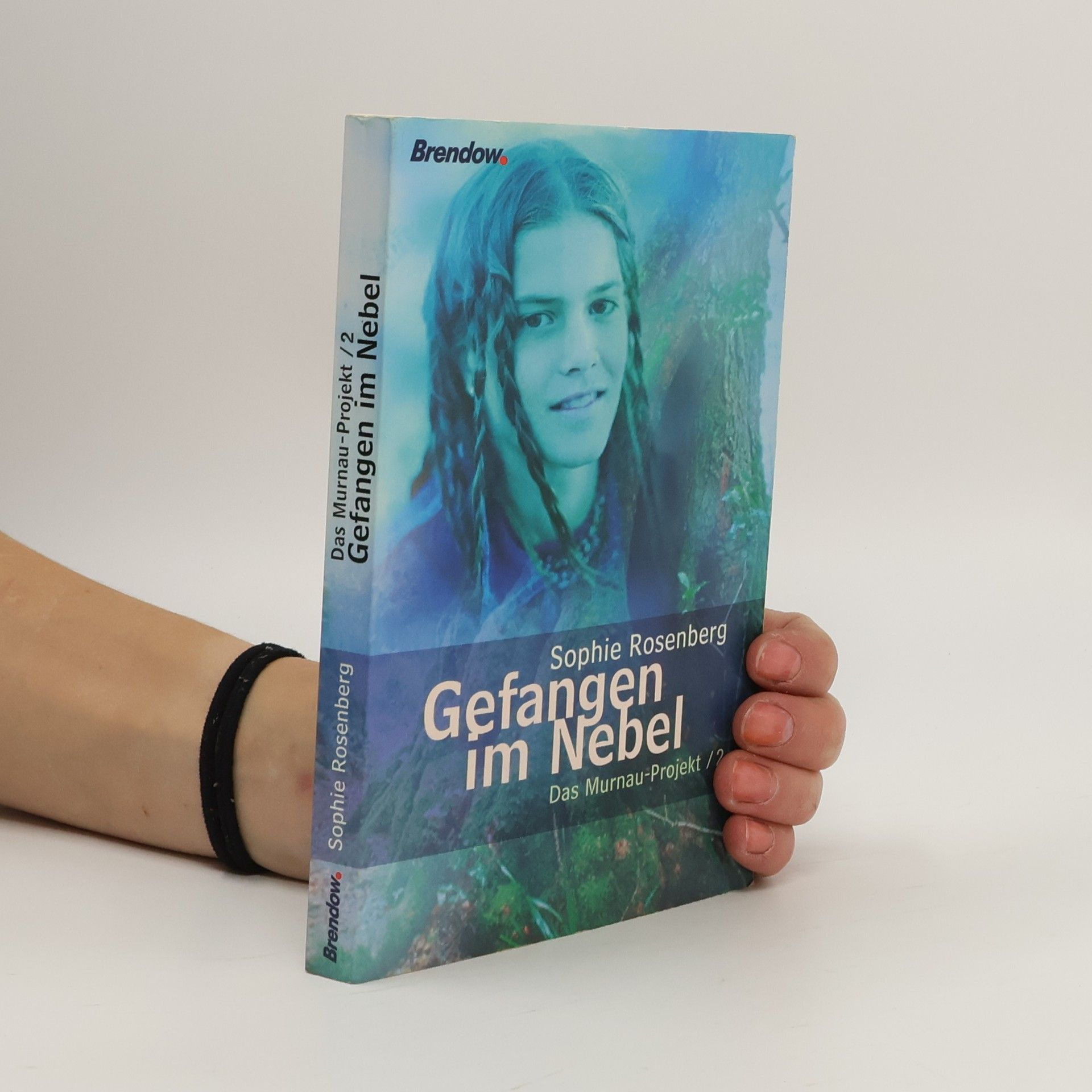 Sophie Rosenberg Das Murnau-Projekt