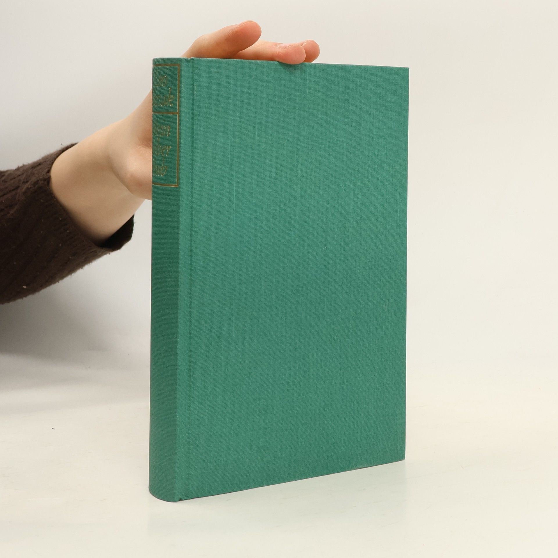 Leo Slezak Mein lieber Bub. Briefe eines besorgten Vaters