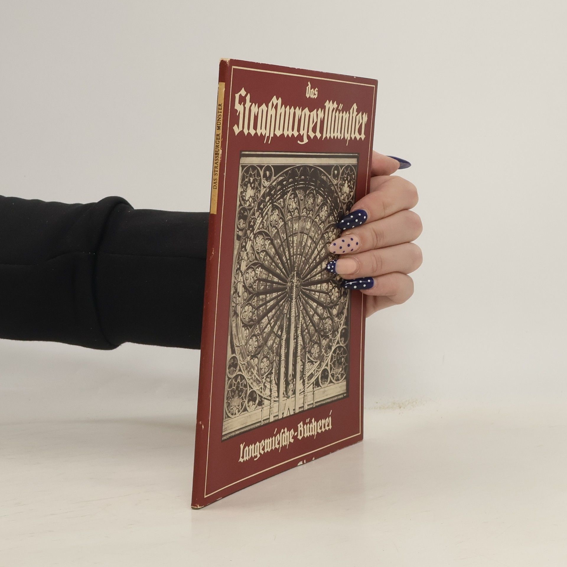 Autorenkollektiv Das Strassburger Münster