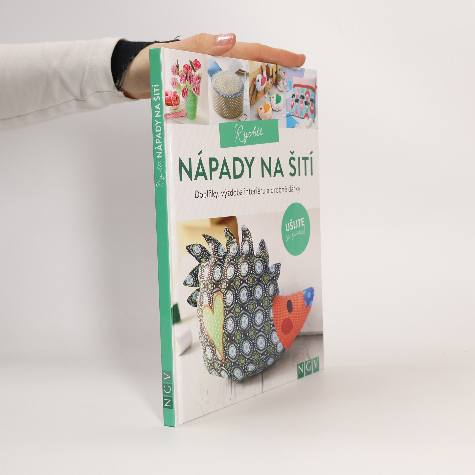 Kolektiv autorů Rychlé nápady na šití