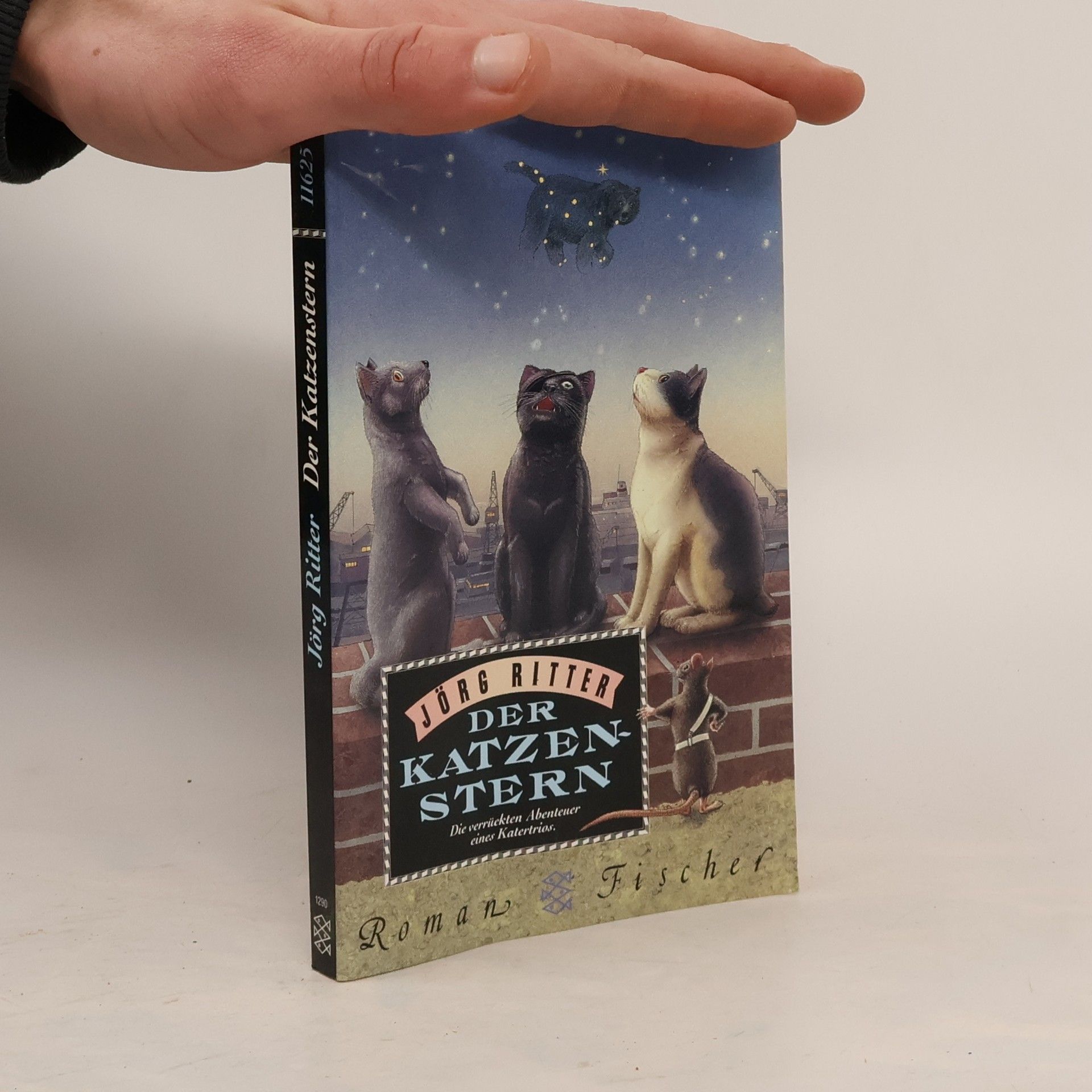 Jörg Ritter Der Katzenstern