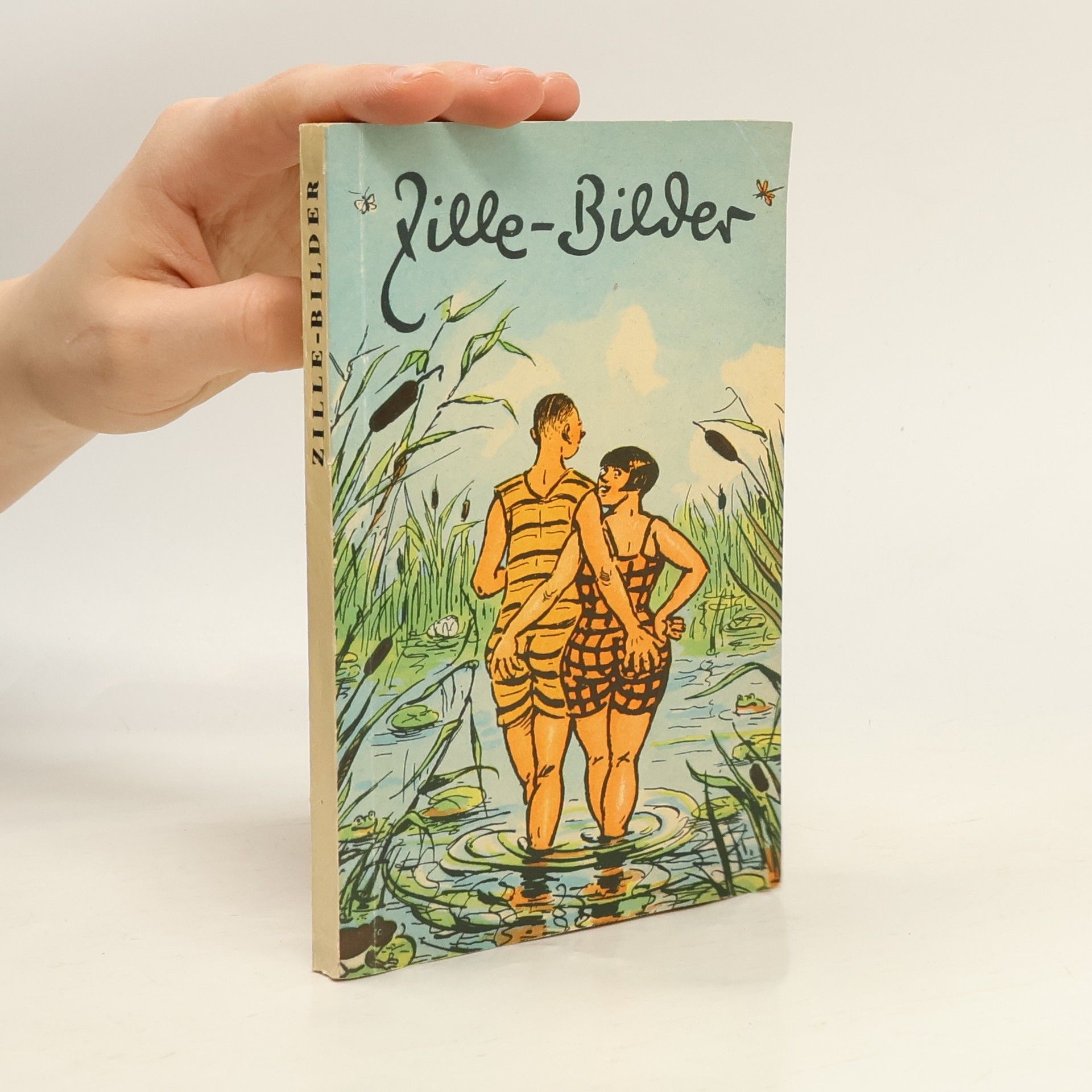 Various authors Zille-Bilder