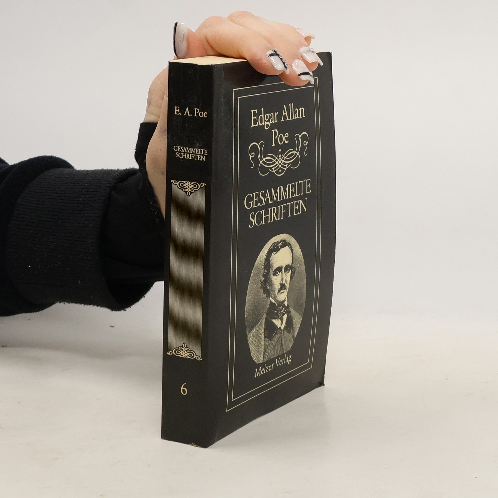 Edgar Allan Poe Gesammelte Schriften 6