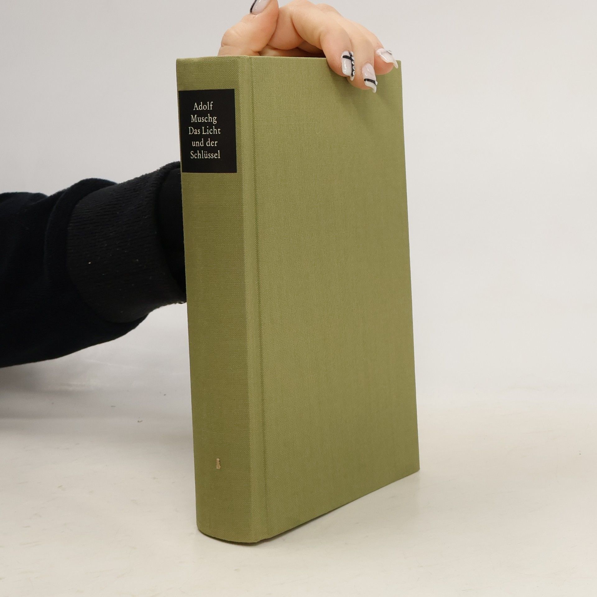 Adolf Muschg Das Licht und der Schlüssel