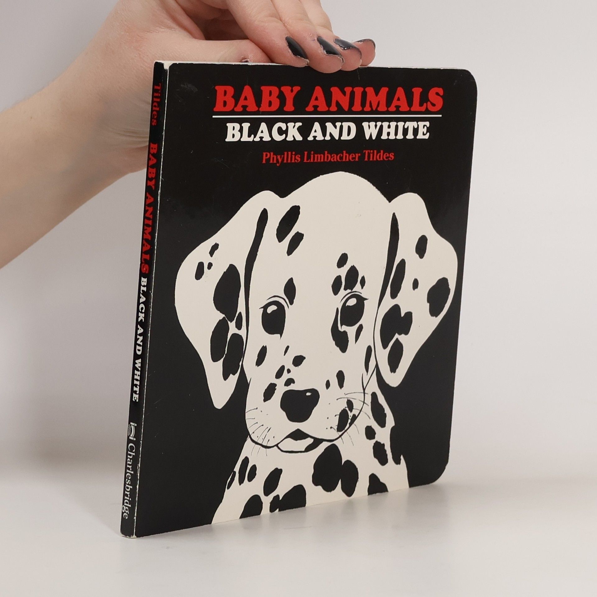 Phyllis Limbacher Tildes Baby Animals Black and White