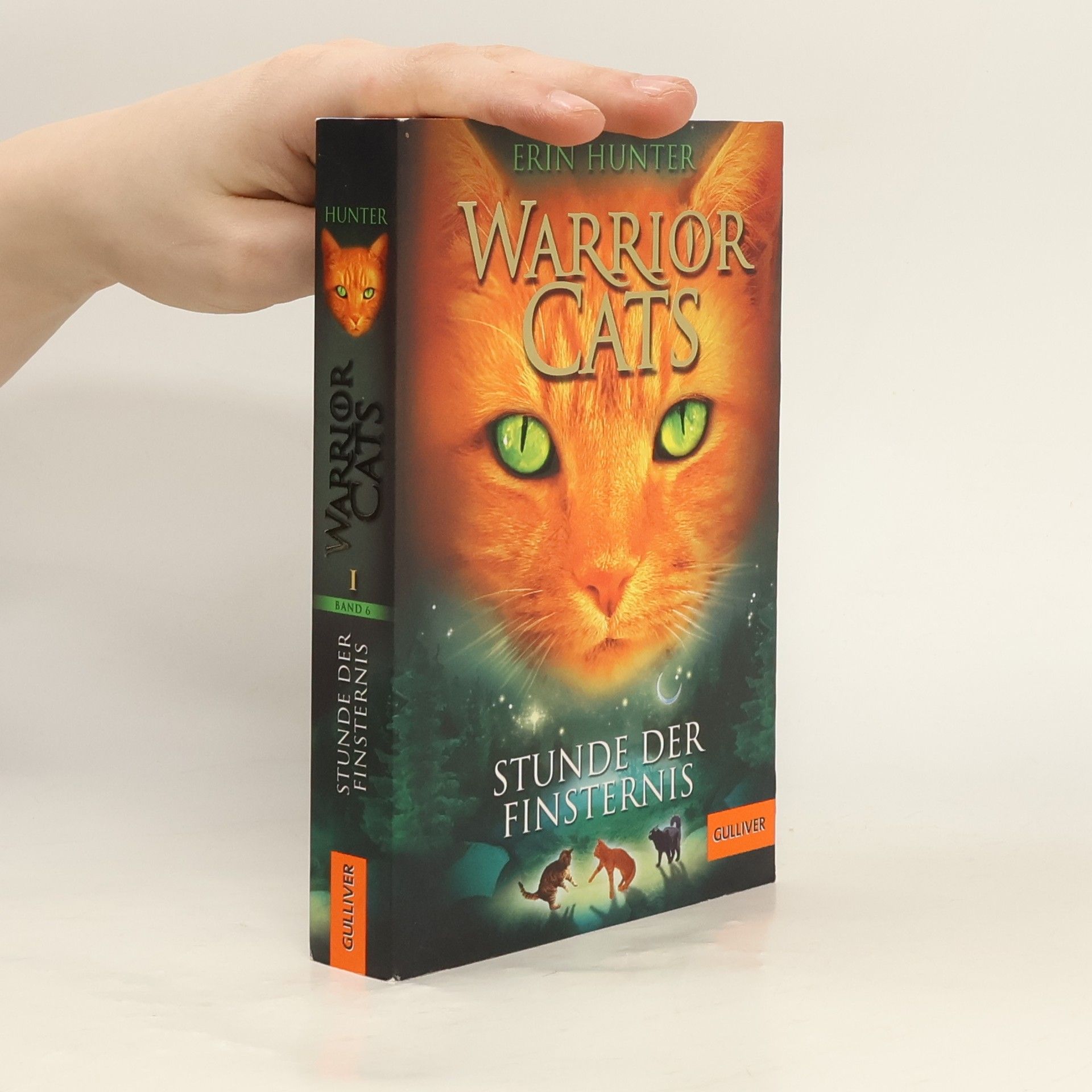 Stunde der Finsternis