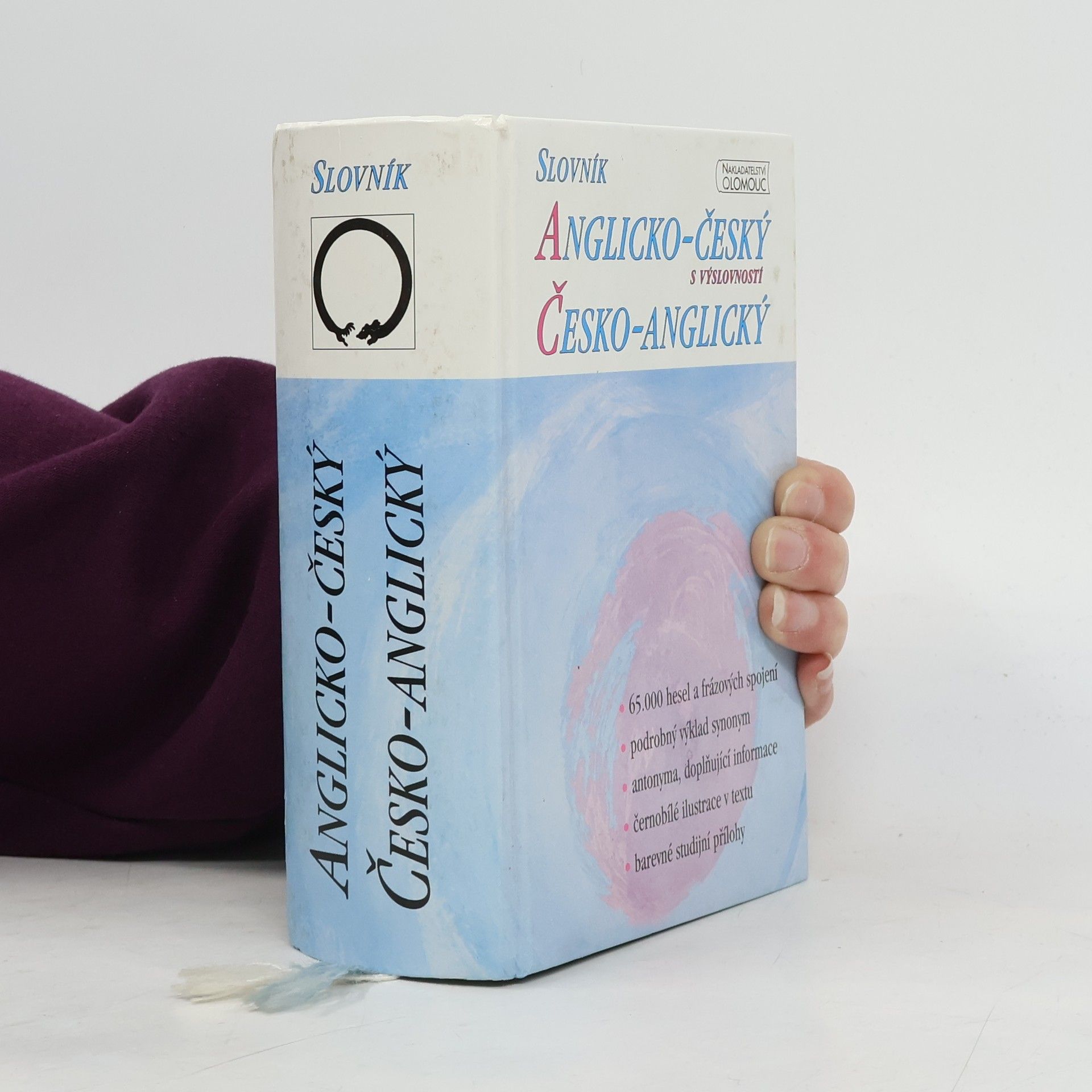 Autorenkollektiv Anglicko-český a česko-anglický slovník