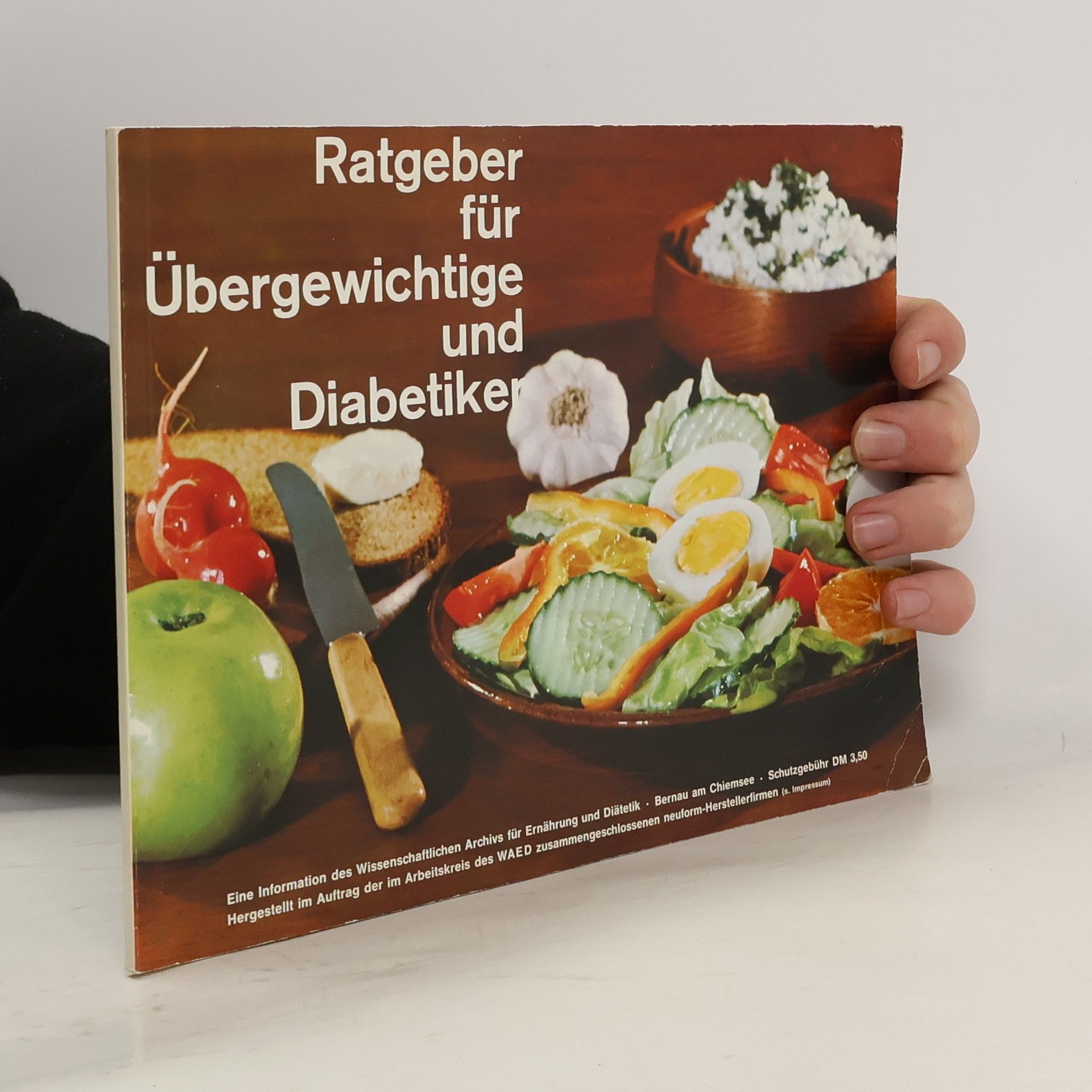 Autores varios Ratgeber für Übergewichtige und Diabetiker