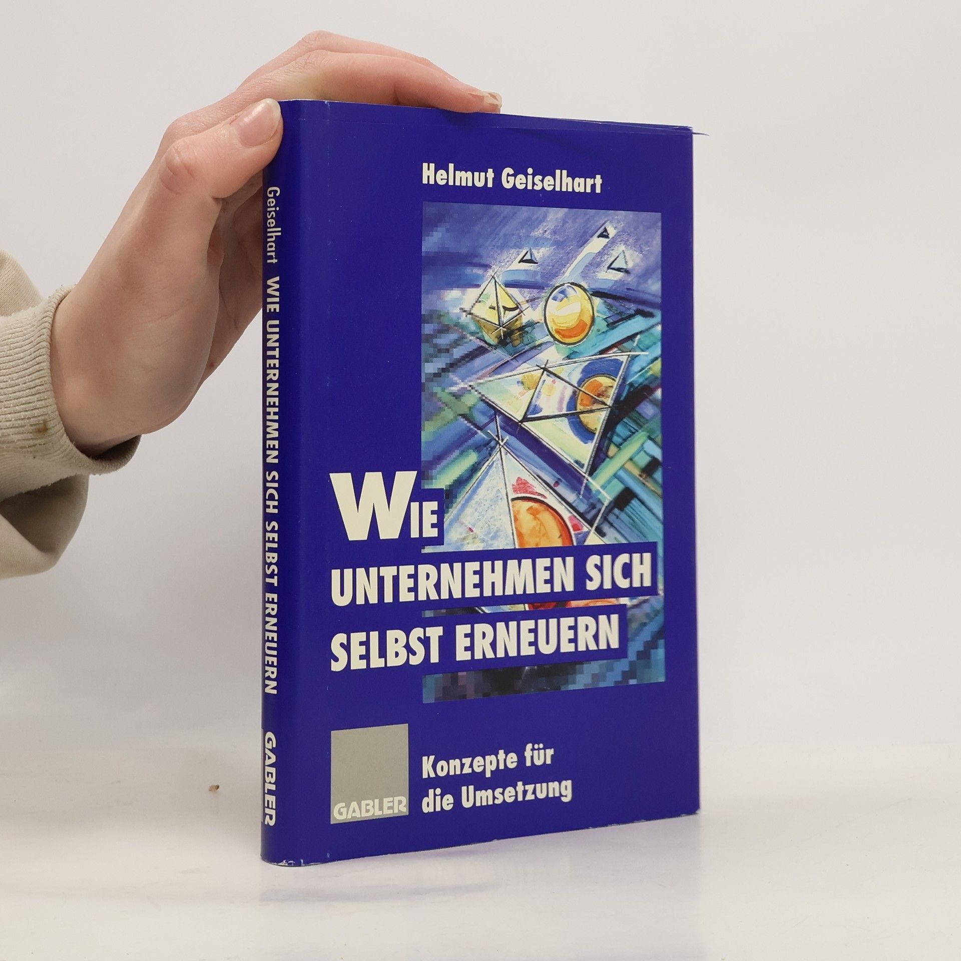 Helmut Geiselhart Wie Unternehmen sich selbst erneuern