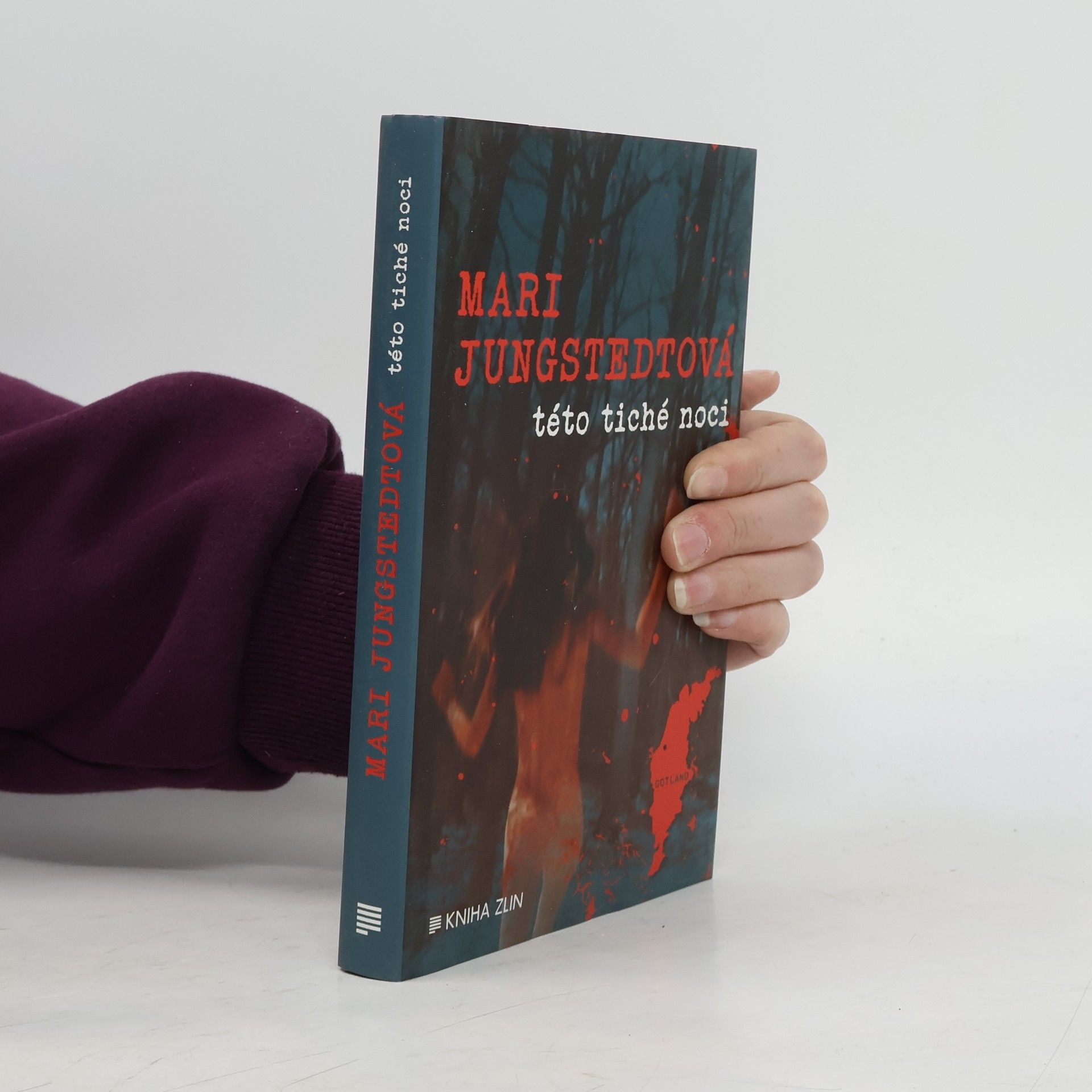 Mari Jungstedt Této tiché noci