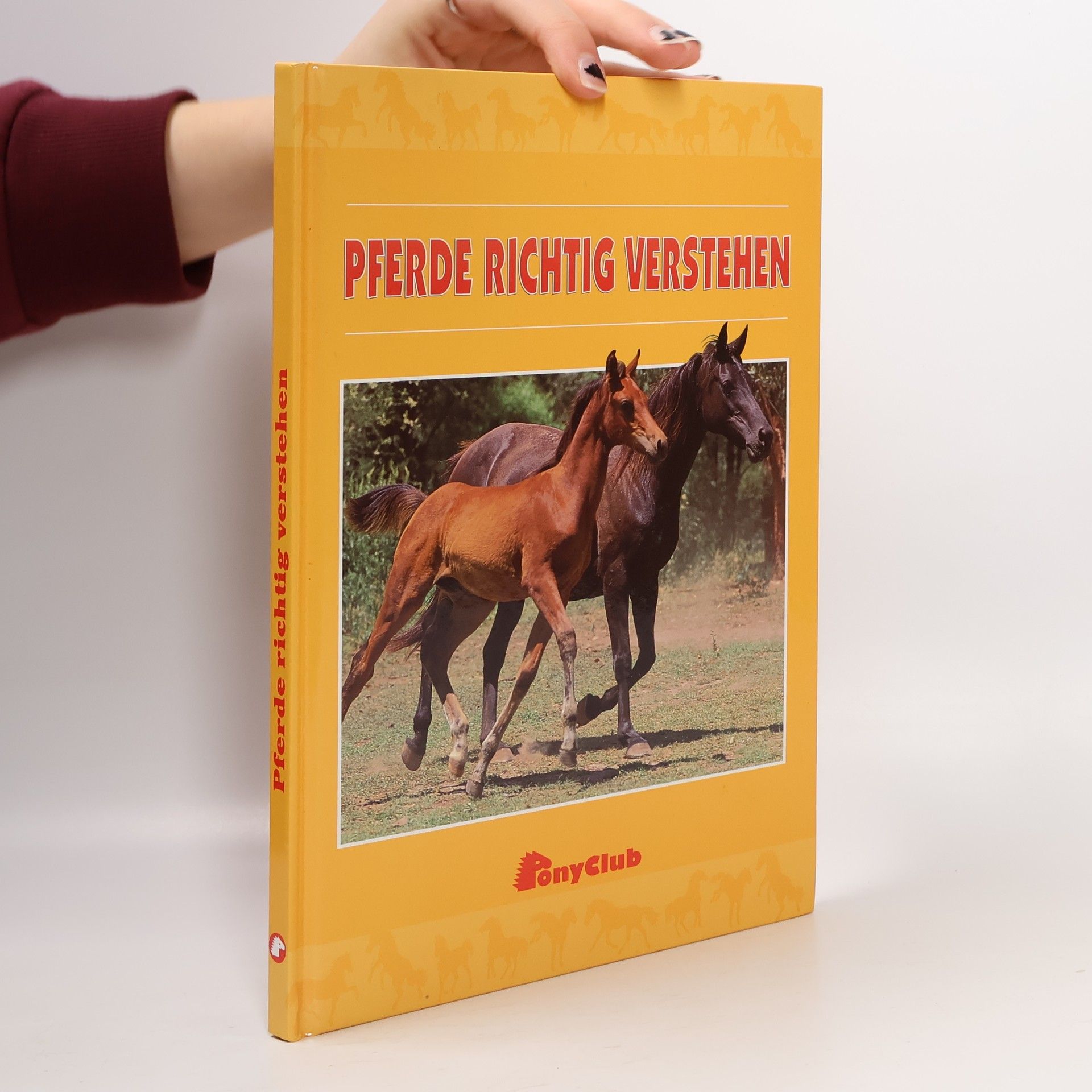Various authors Pferde richtig verstehen