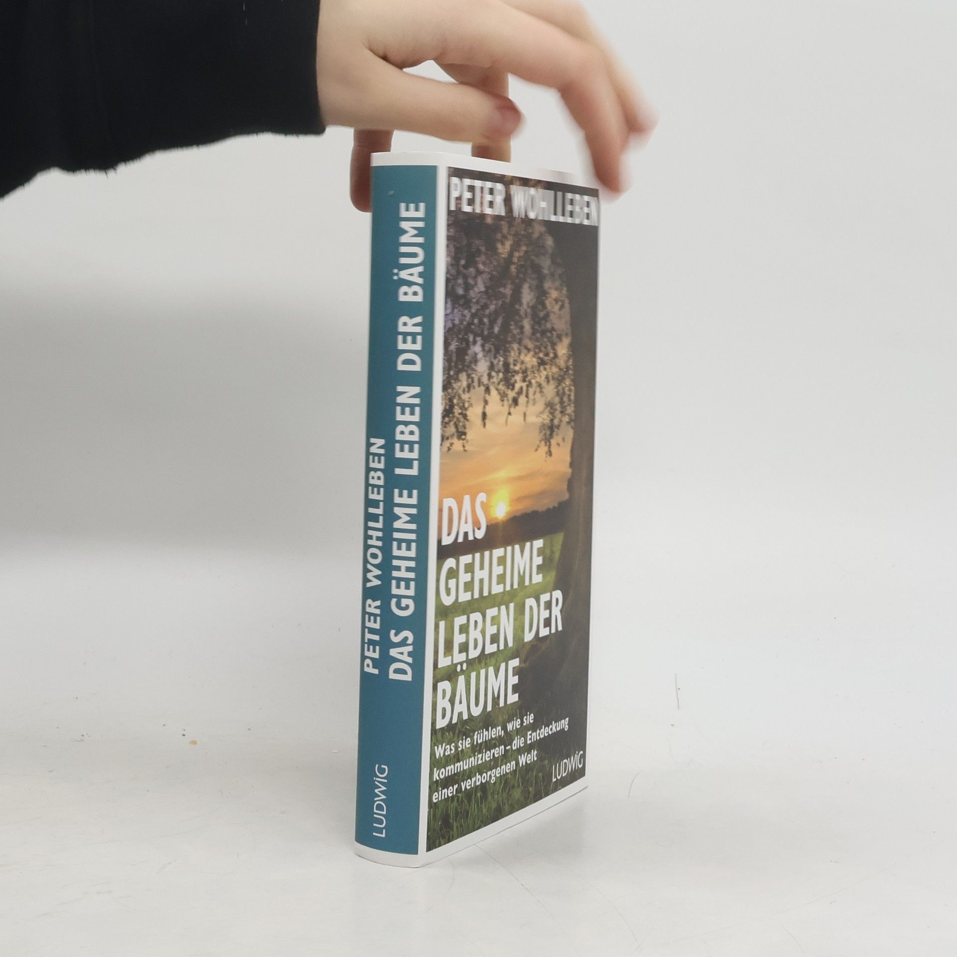Peter Wohlleben Das geheime Leben der Bäume