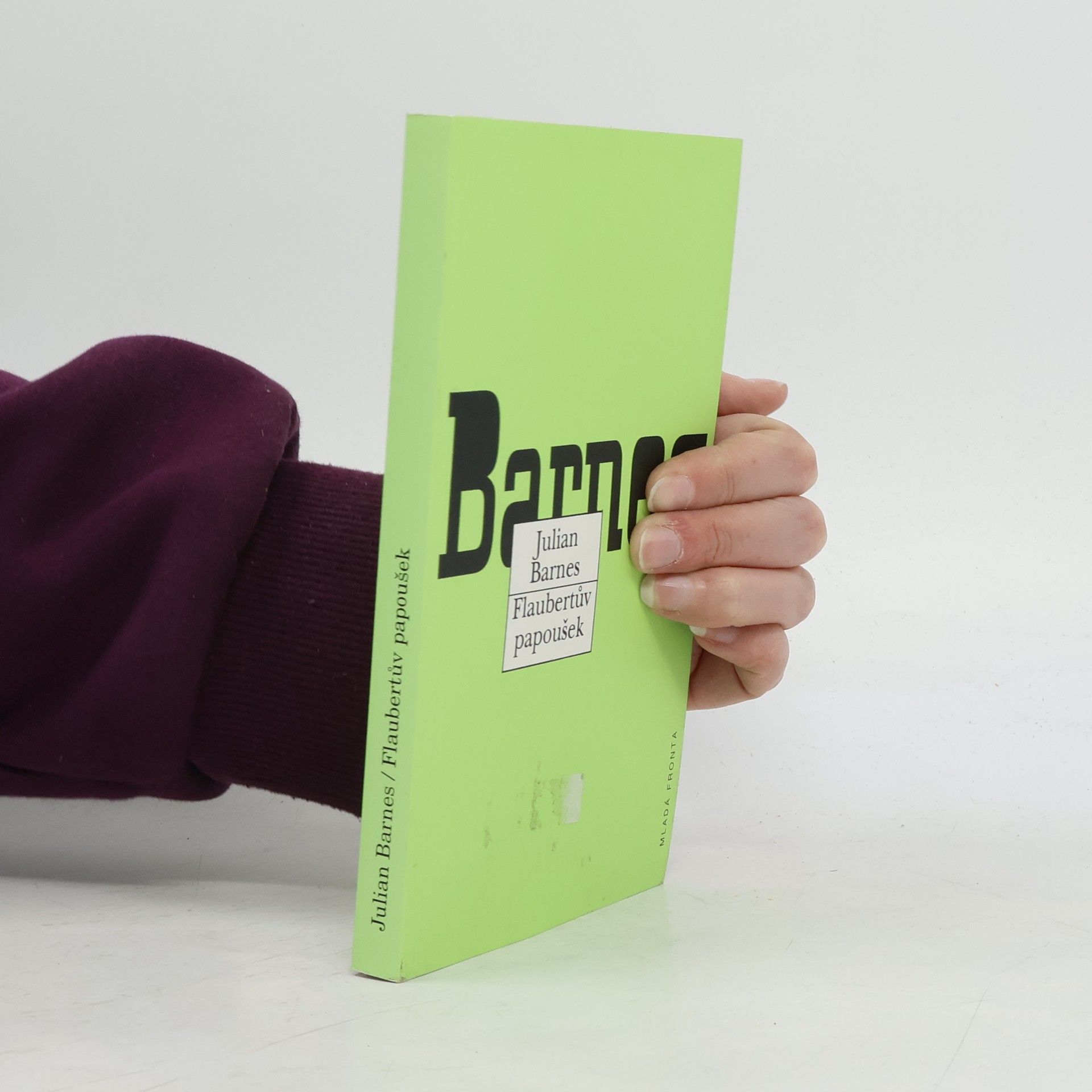 Julian Barnes Flaubertův papoušek