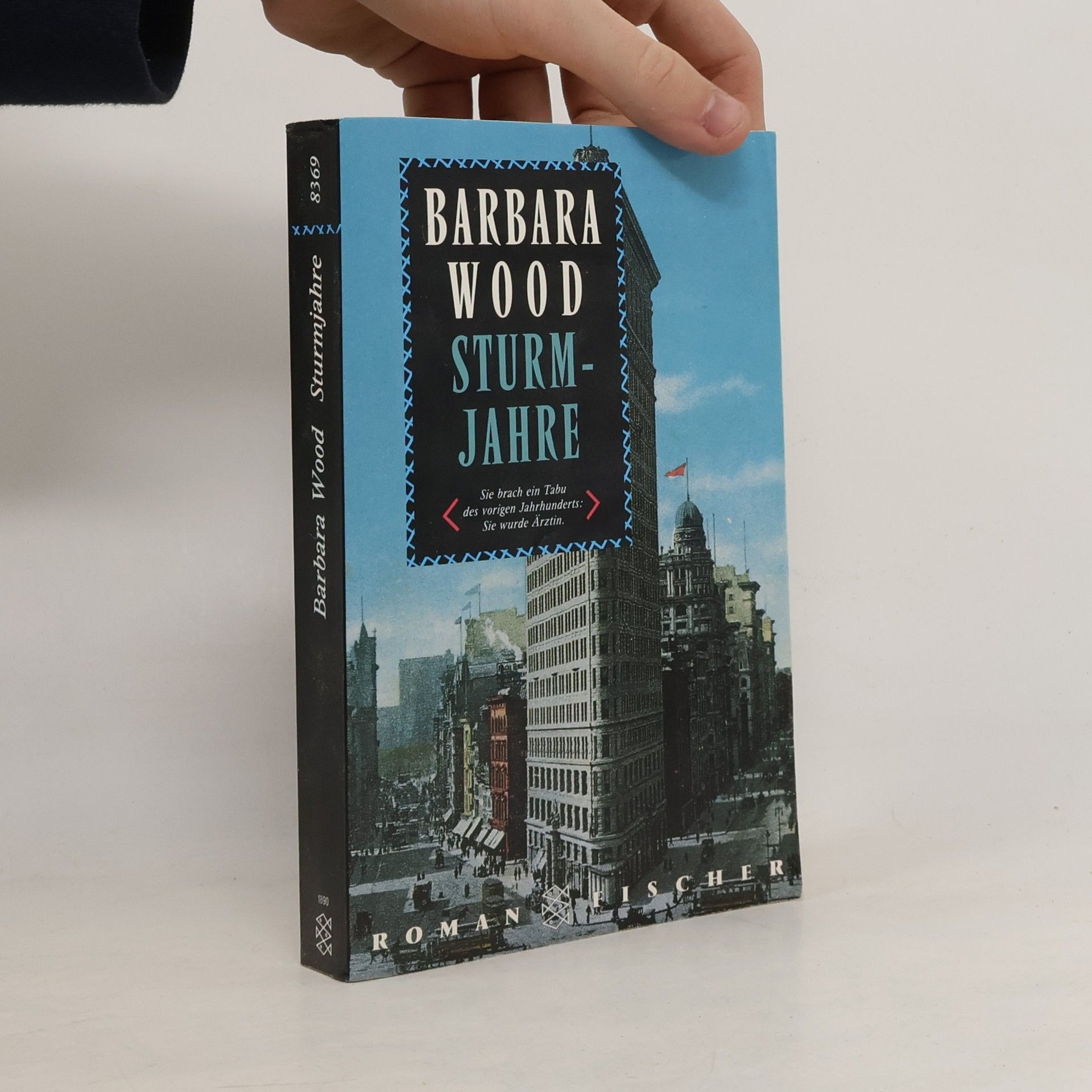 Barbara Wood Sturmjahre