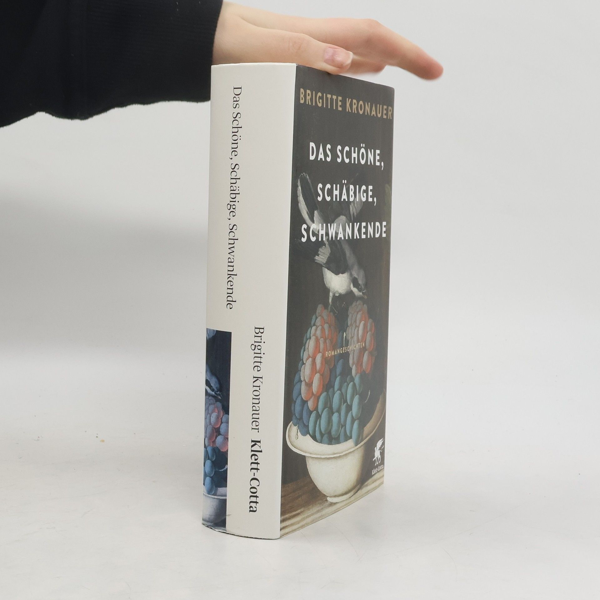 Brigitte Kronauer Das Schöne, Schäbige, Schwankende