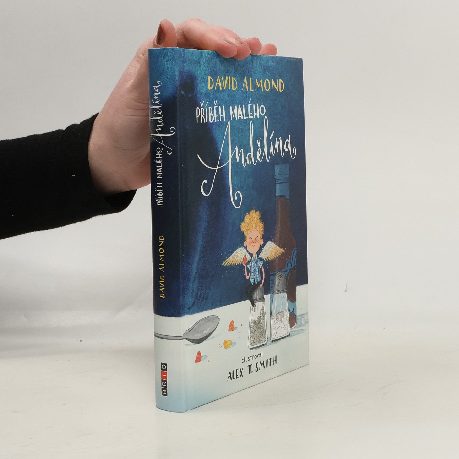 David Almond Příběh malého Andělína