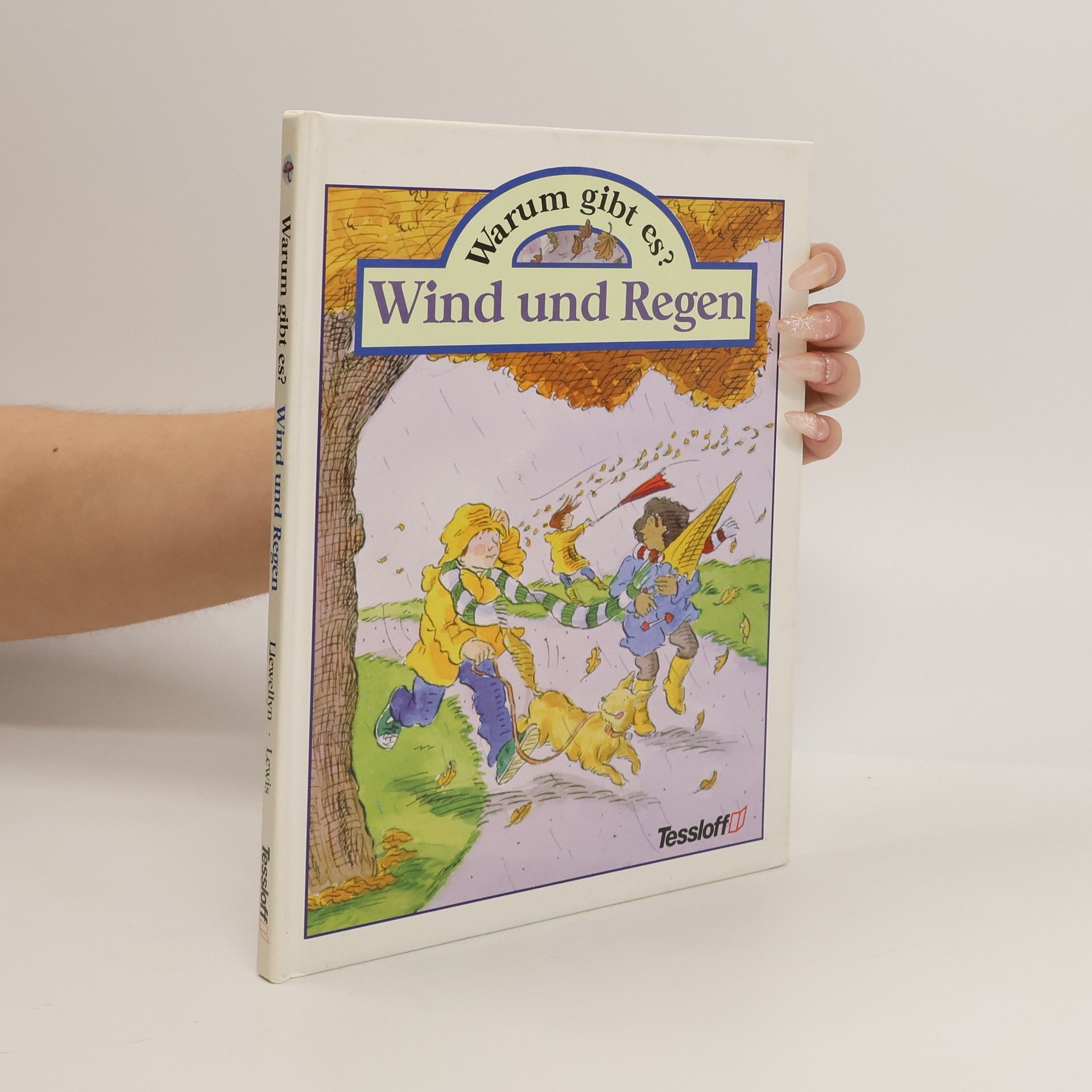 Claire Llewellyn Warum gibt es?: Wind und Regen