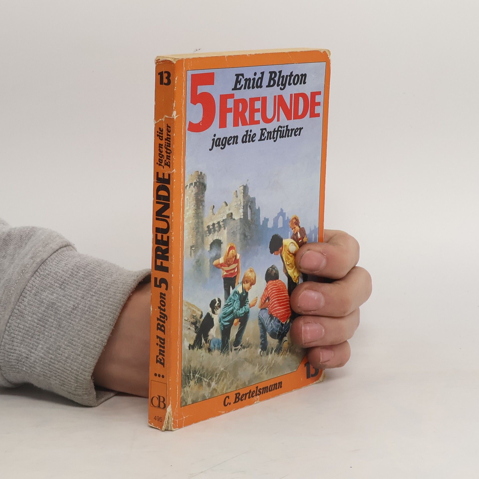 Enid Blyton Fünf Freunde jagen die Entführer