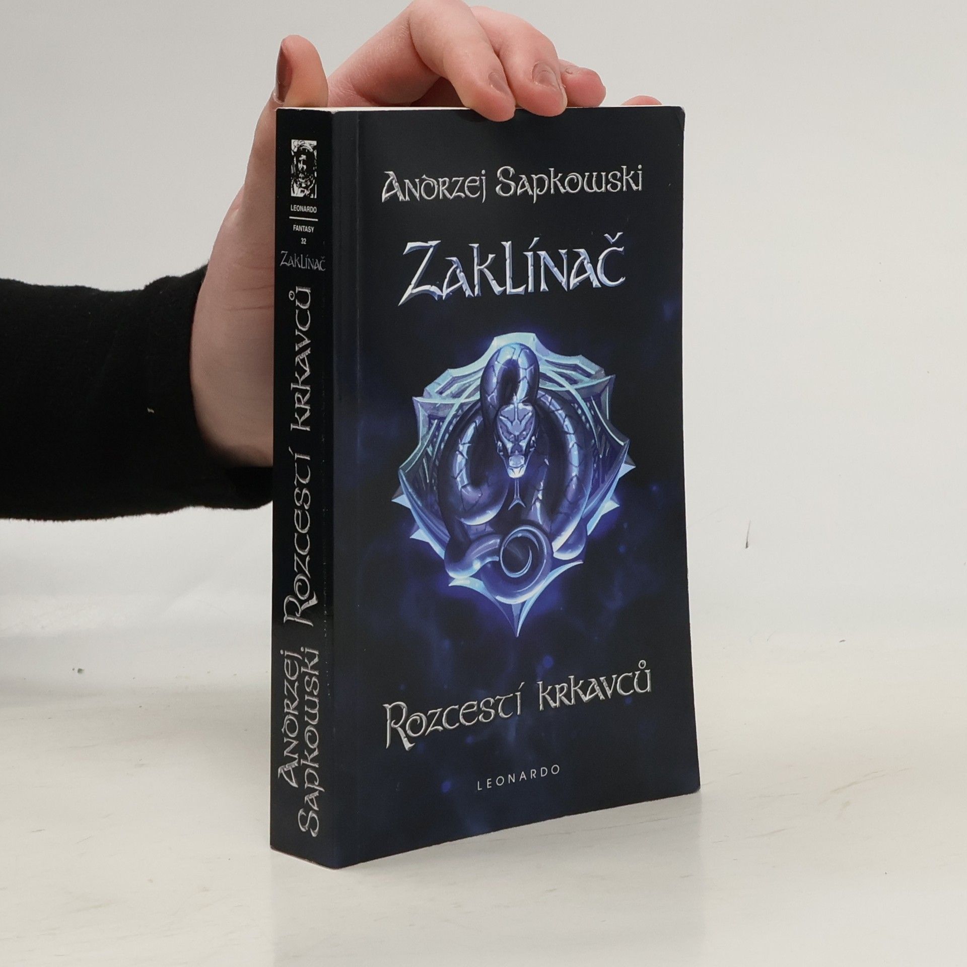 Zaklínač IX. Rozcestí krkavců