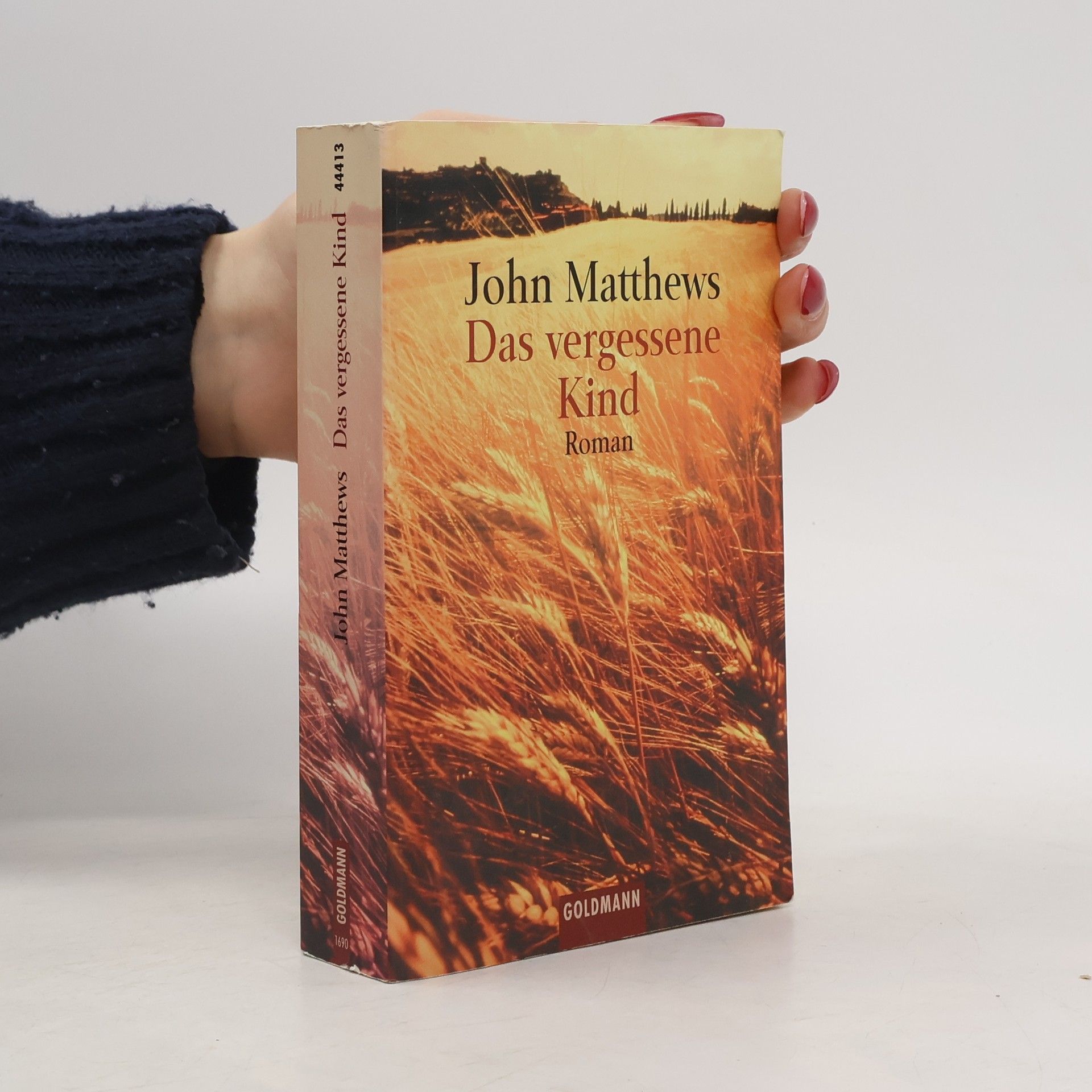 John Matthews Das vergessene Kind