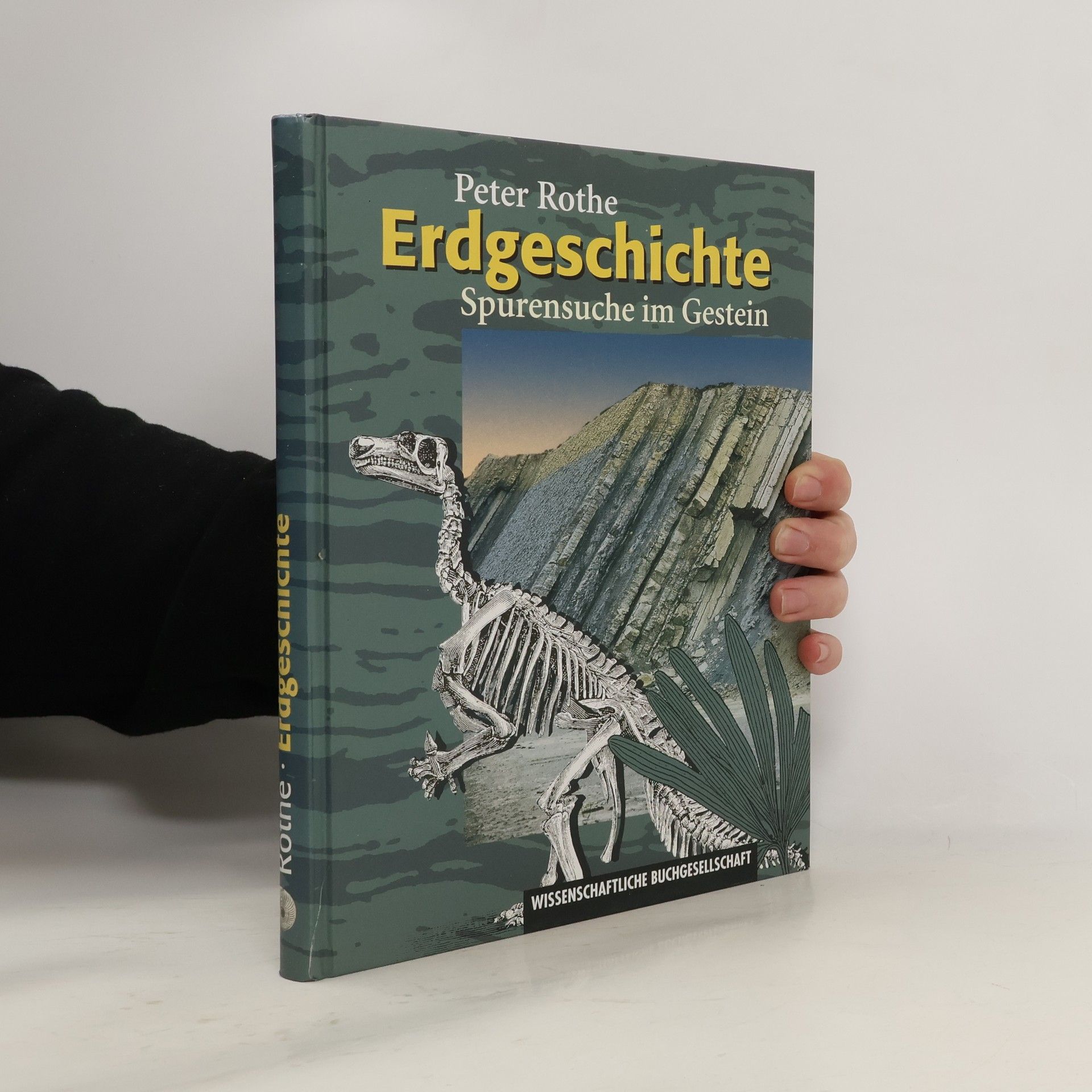 Erdgeschichte