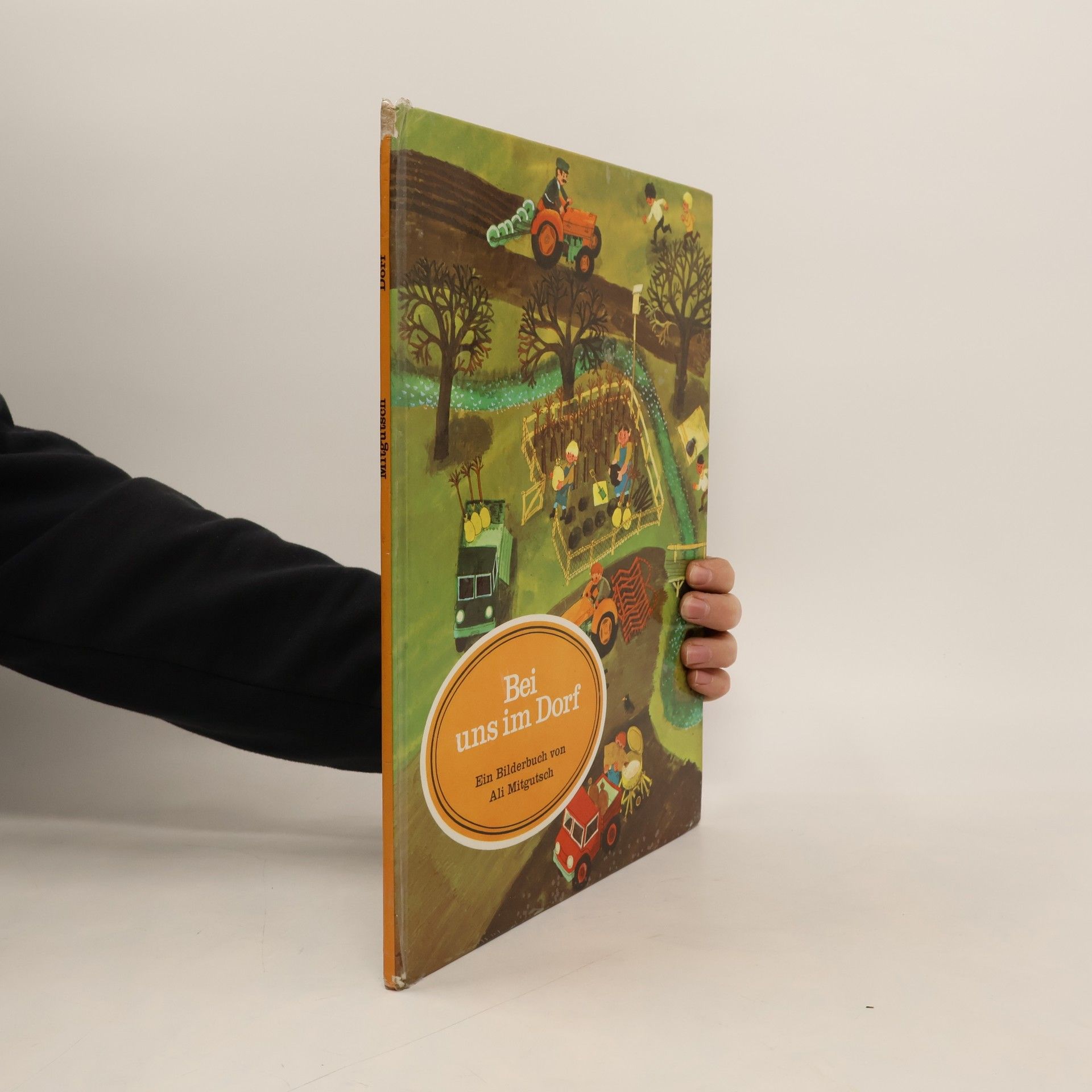 Ali Mitgutsch Bei uns im Dorf