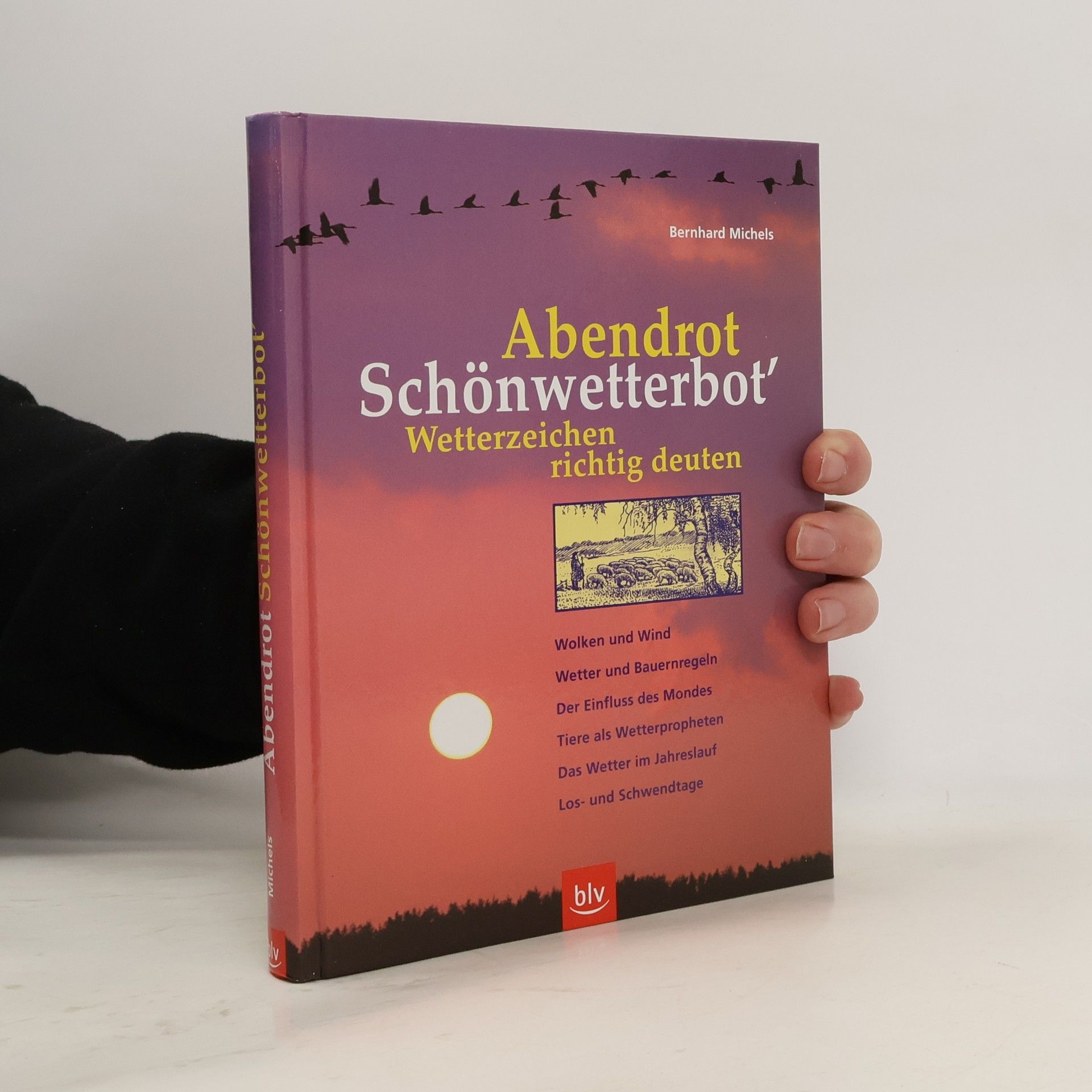 Bernhard Michels Abendrot Schönwetterbot'