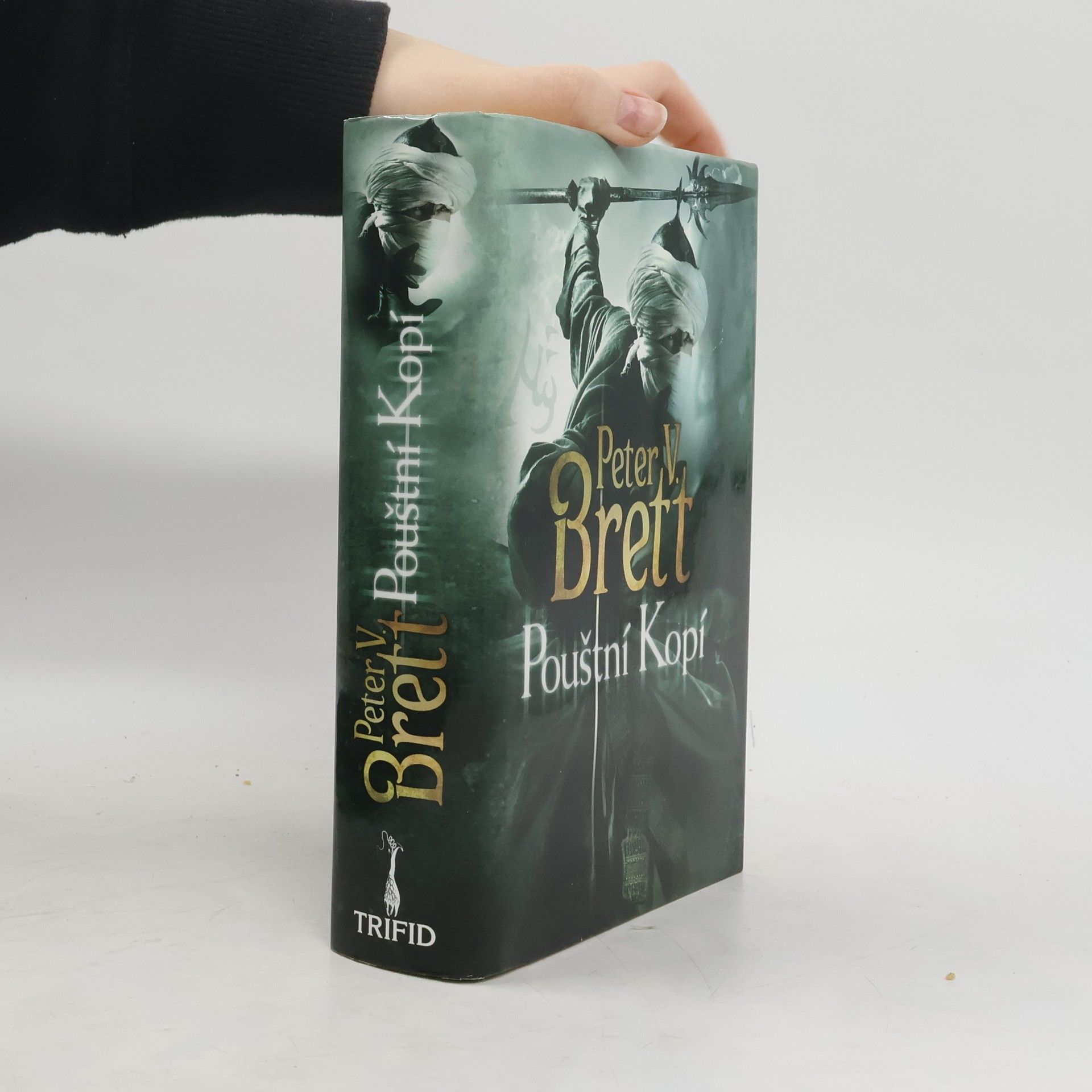 Peter V. Brett Pouštní Kopí