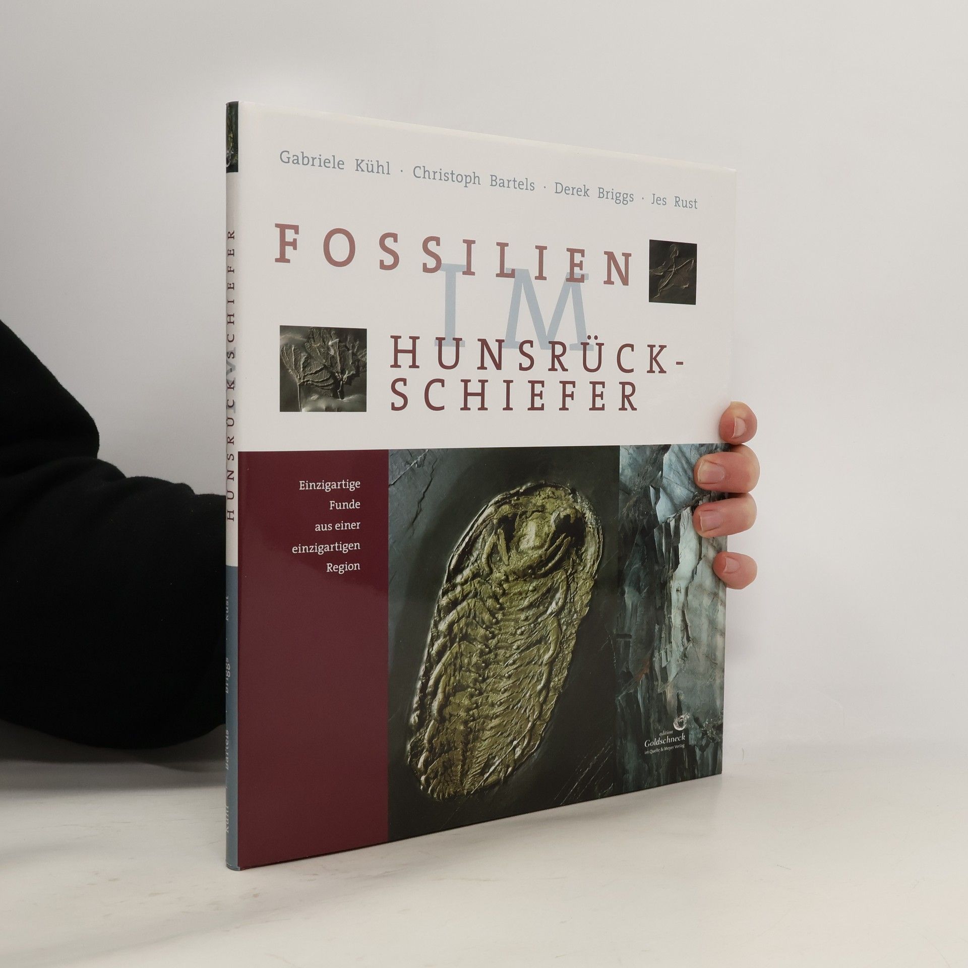 Gabriele Kühl Fossilien im Hunsrück-Schiefer