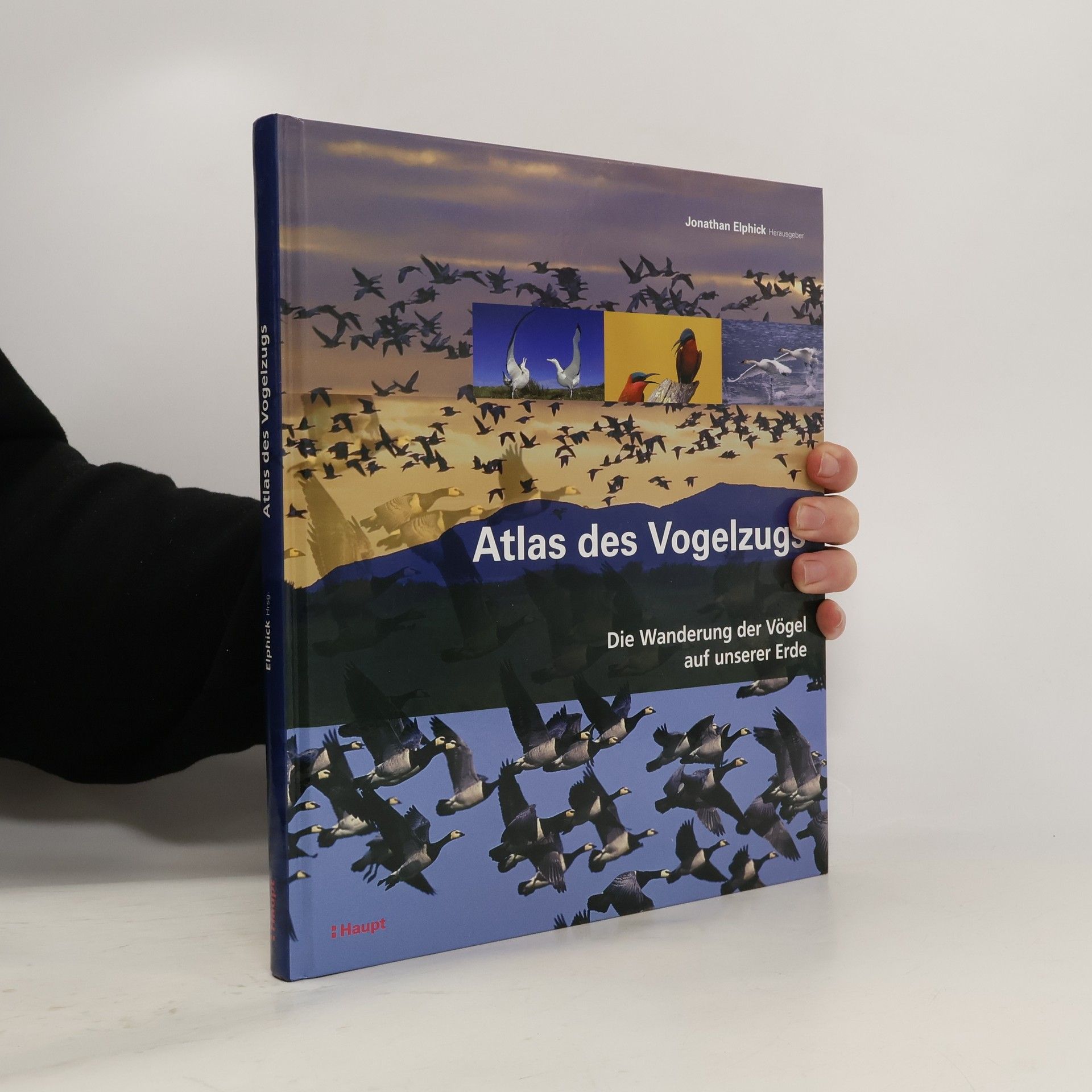 Jonathan Elphick Atlas des Vogelzugs